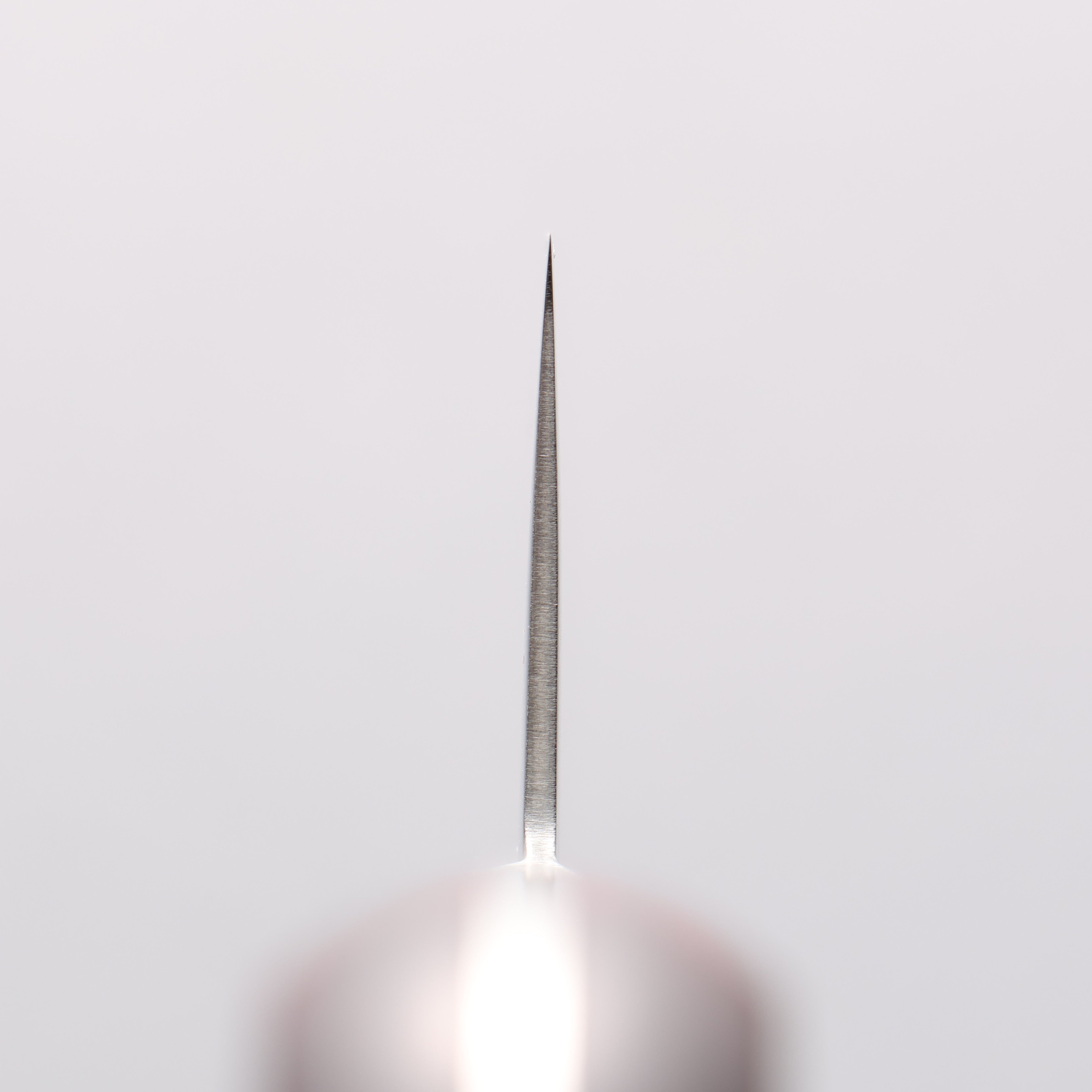 Seisuke VG10 33 Layer Mirrored Finish Damascus Gyuto 210mm Red Pakka wood Handle - Japanny - Best Japanese Knife