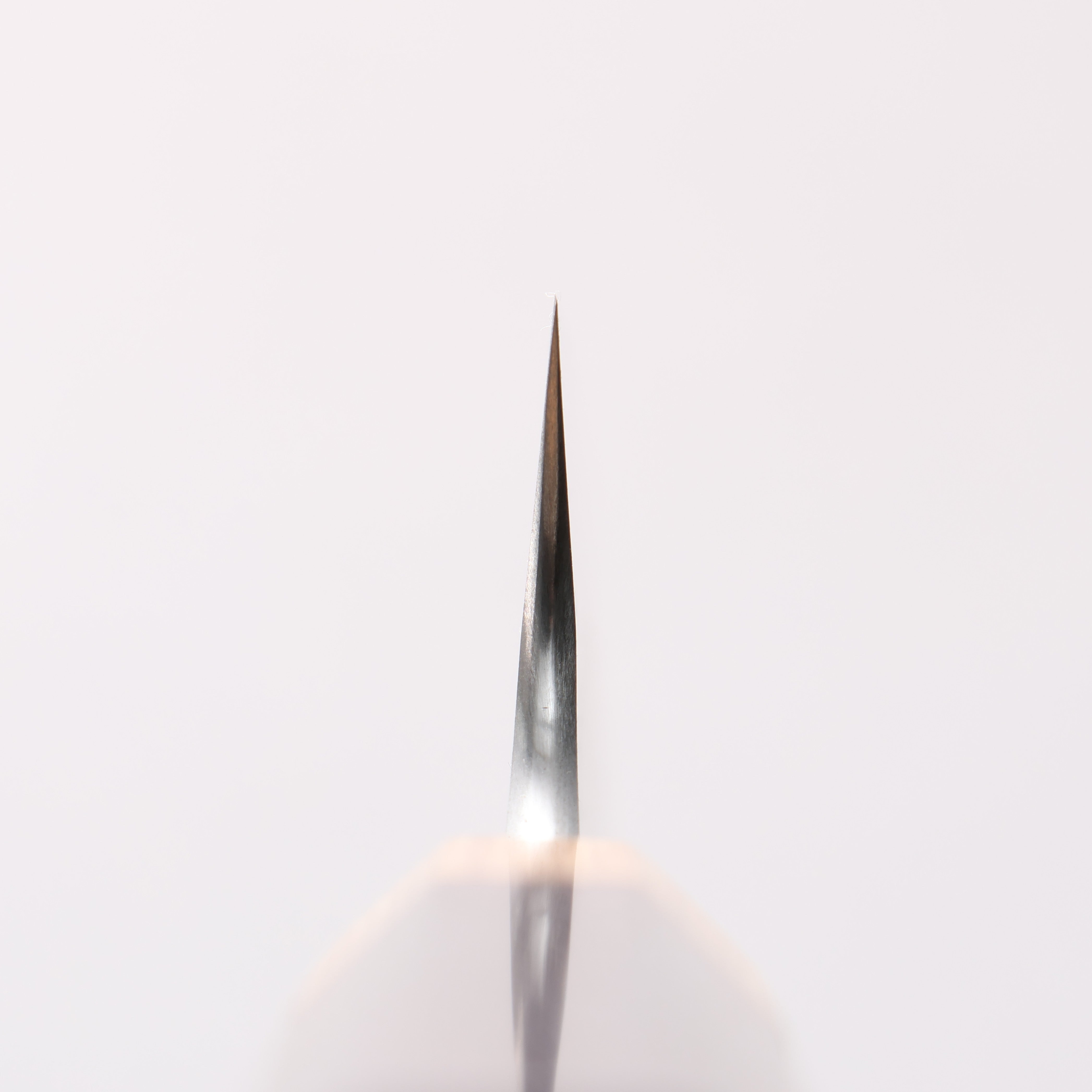 Tinker Blue Super Black Finished 270mm Rosewood Handle Sabre - Japanny - Best Japanese Knife