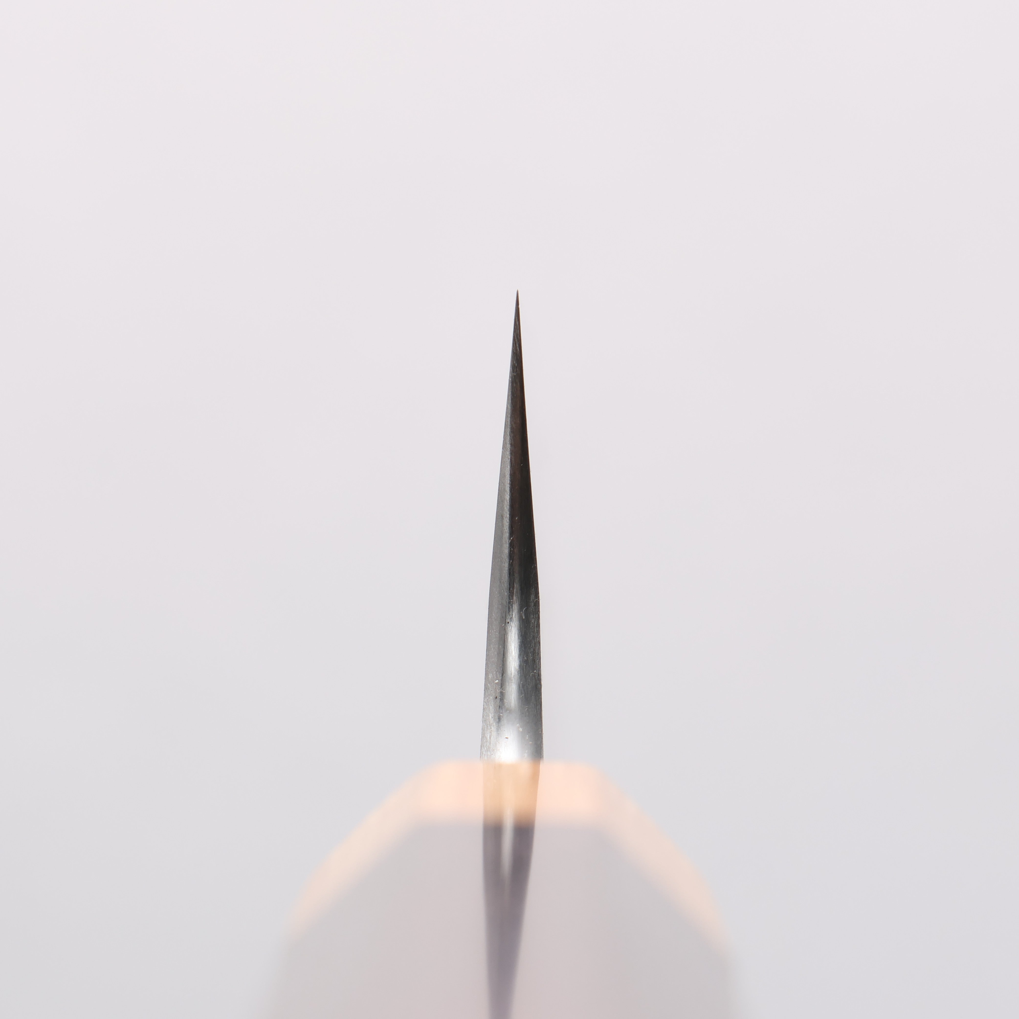 Tinker Blue Super Black Finished 210mm Rosewood Handle Sabre - Japanny - Best Japanese Knife