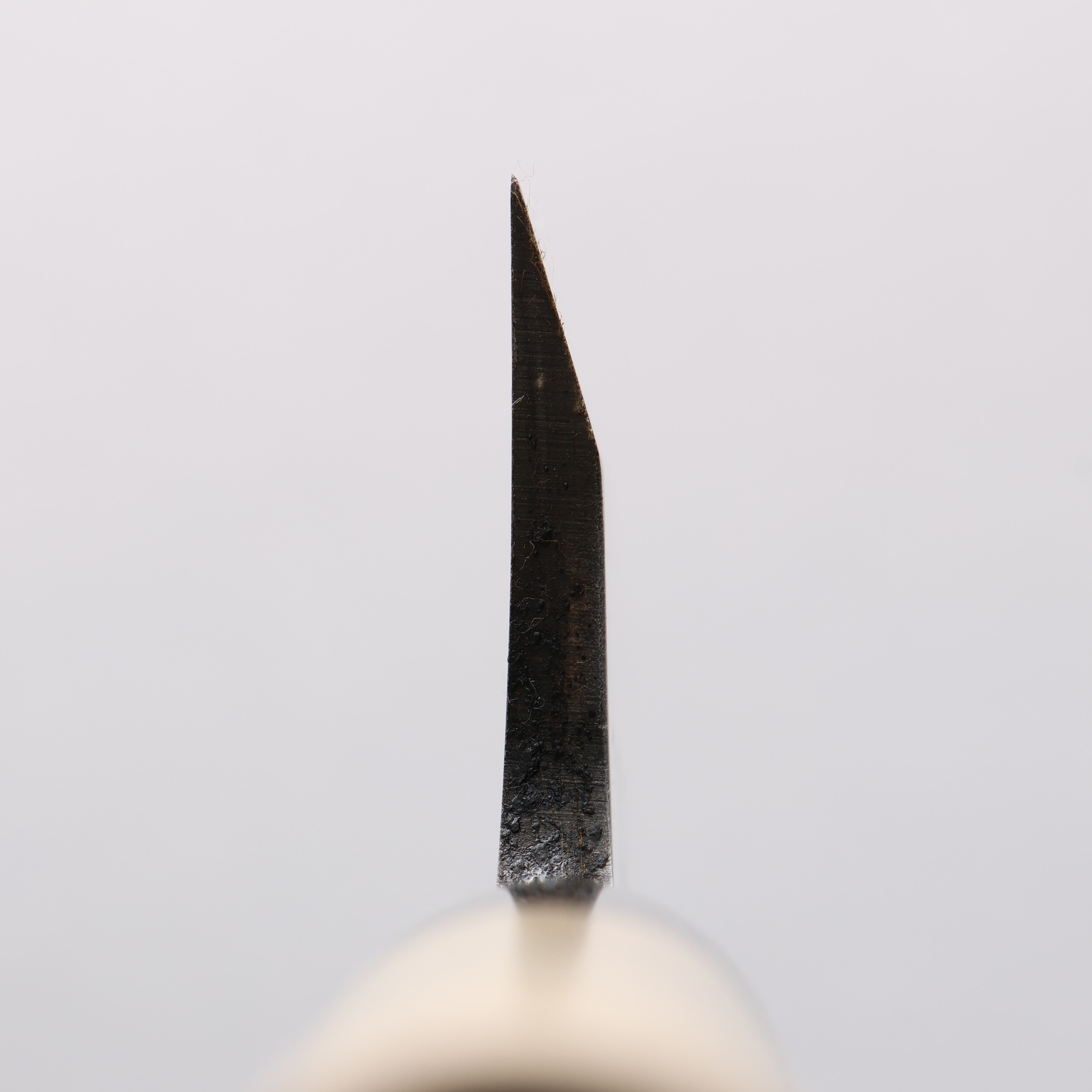 Seisuke [Left Handed] Molybdenum Kasumitogi Deba - Japanny - Best Japanese Knife