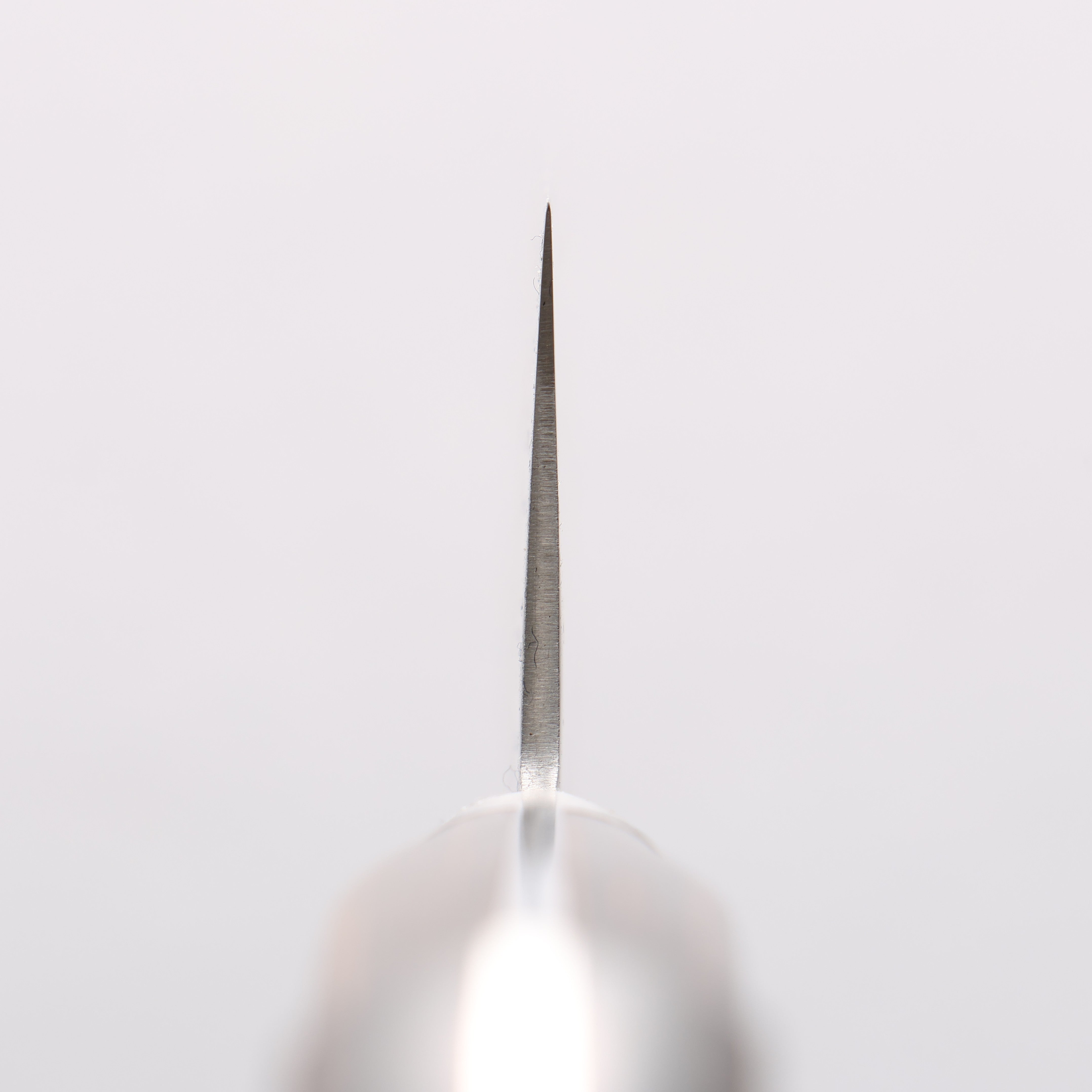 Seisuke Silver Steel No.3 Nashiji Kiritsuke Gyuto 210mm Brown Pakka wood Handle - Japanny - Best Japanese Knife