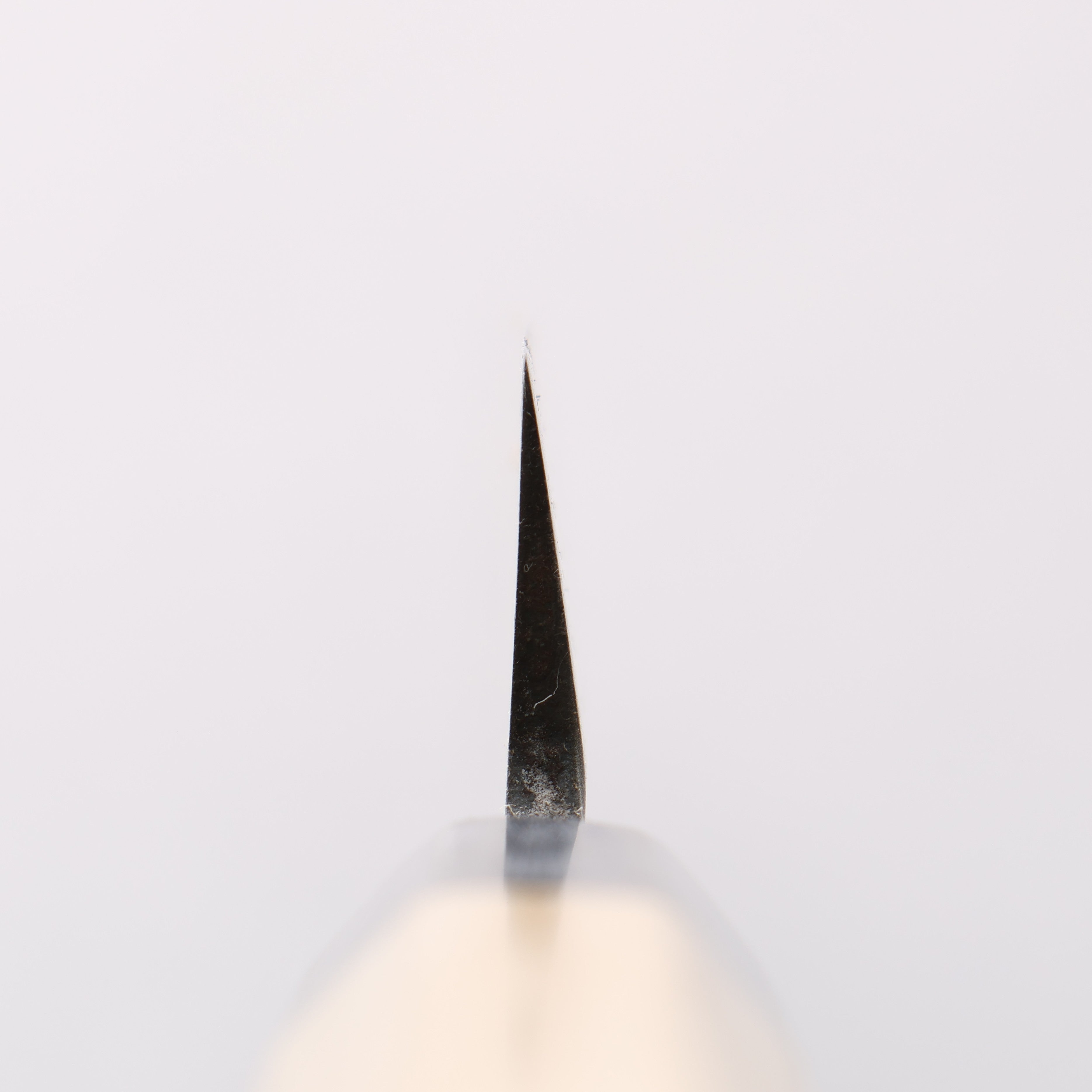 Seisuke [Left Handed] Molybdenum Kasumitogi Yanagiba 300mm - Japanny - Best Japanese Knife