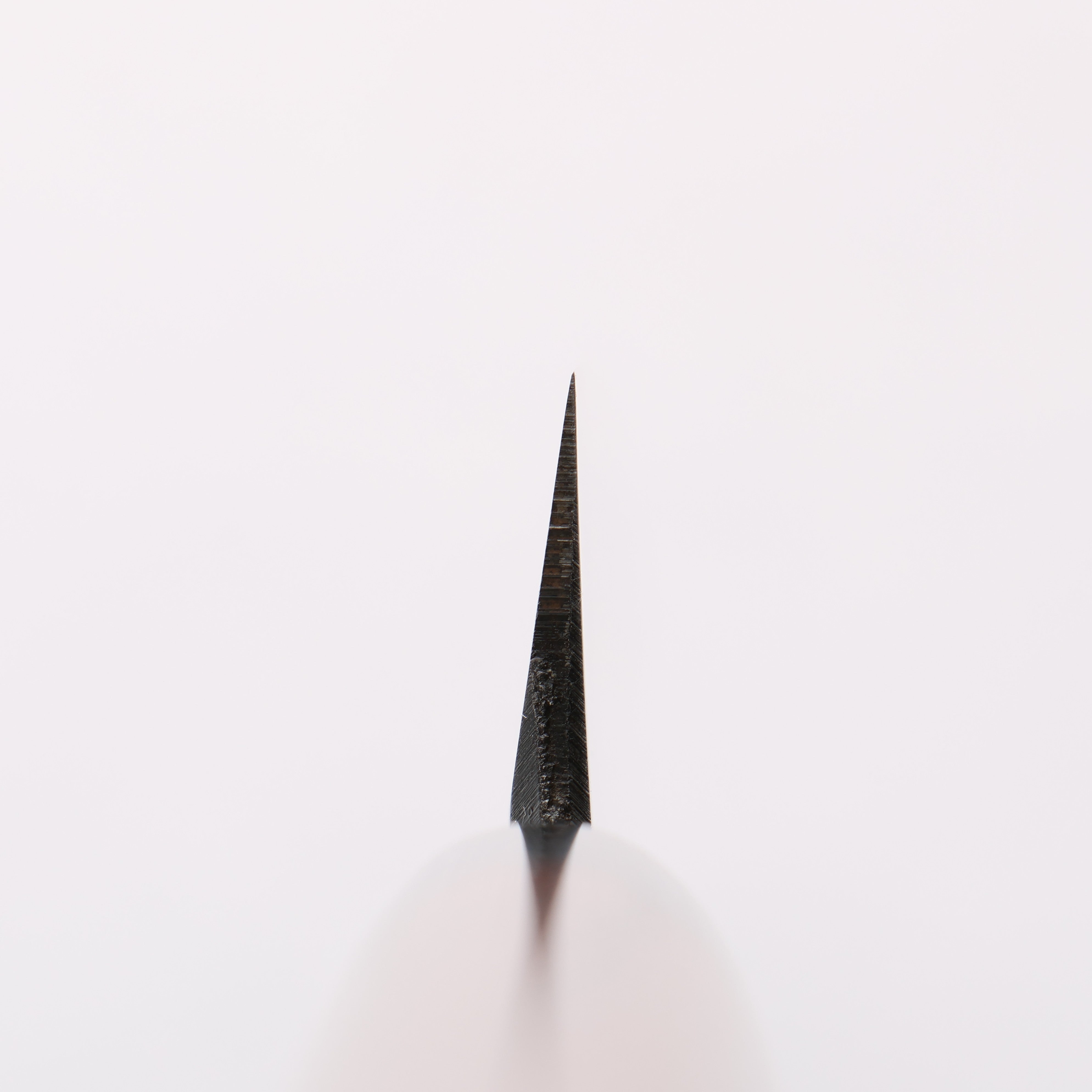 Seisuke White Steel Kasumitogi Yanagiba 300mm Rosewood Handle - Japanny - Best Japanese Knife