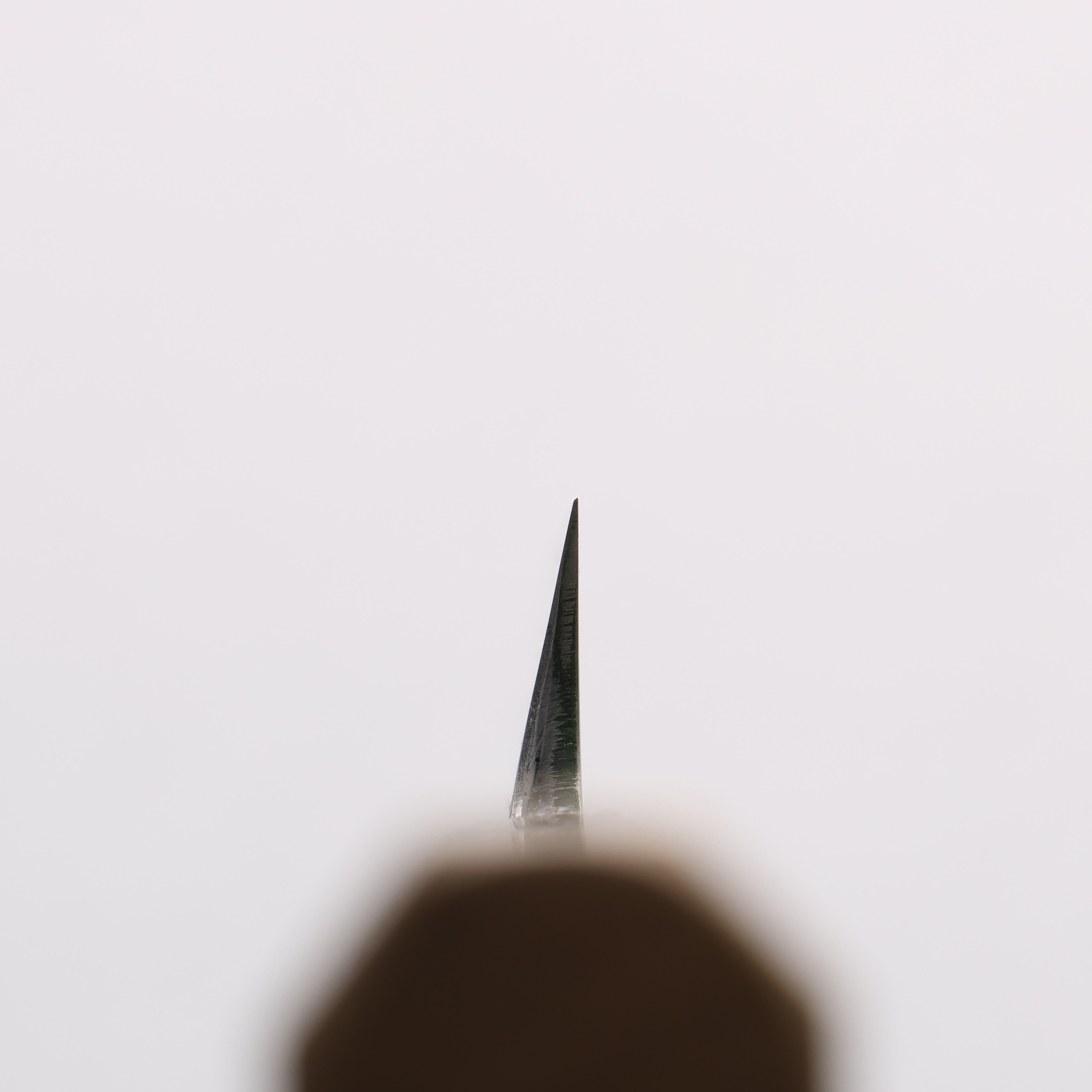 Minamoto Akitada Blue Steel No.2 Yanagiba 240mm Magnolia (Ferrule: Water Buffalo Horn) Handle - Japanny - Best Japanese Knife