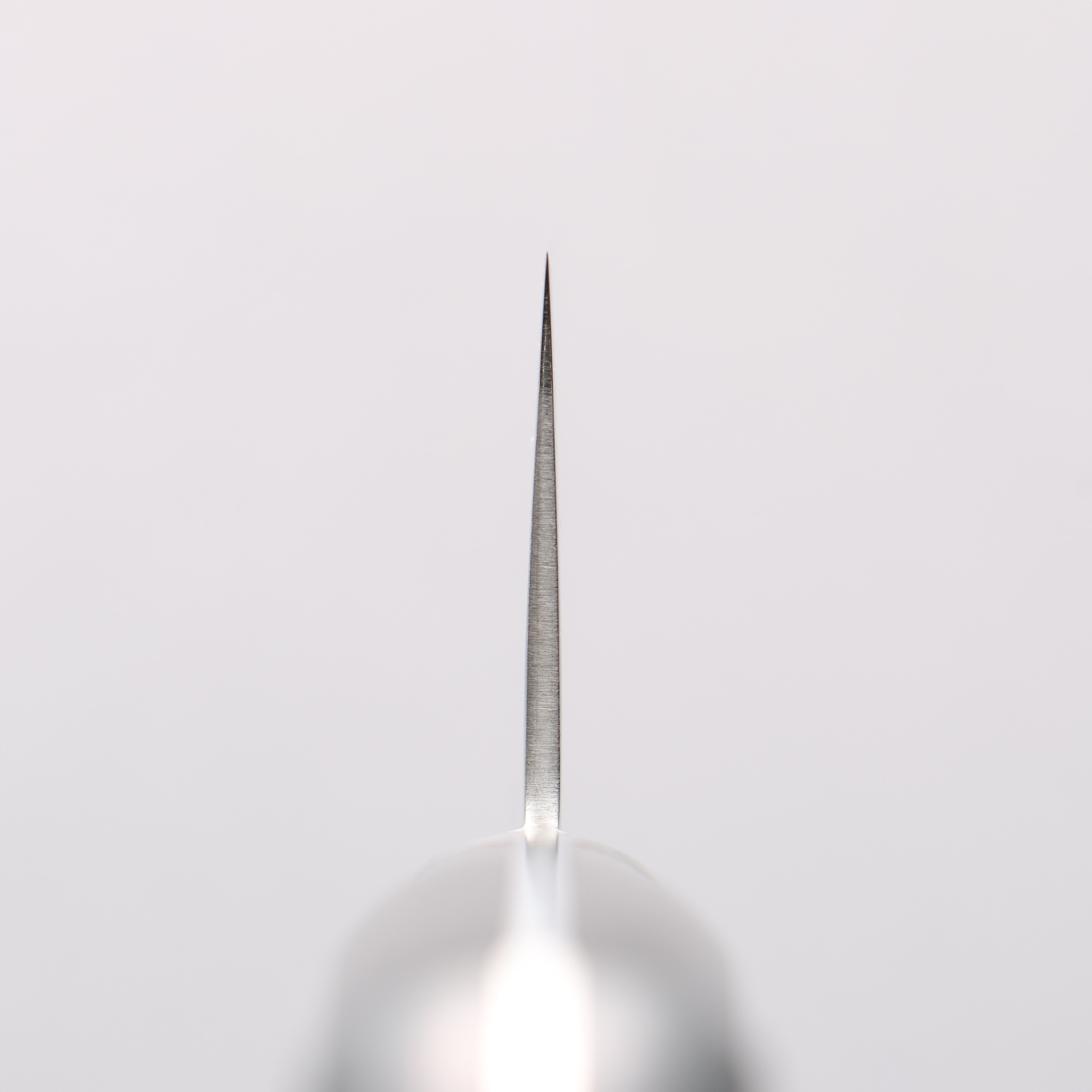 Seisuke VG10 33 Layer Mirrored Finish Damascus Kiritsuke Gyuto 210mm Black Pakka wood Handle - Japanny - Best Japanese Knife