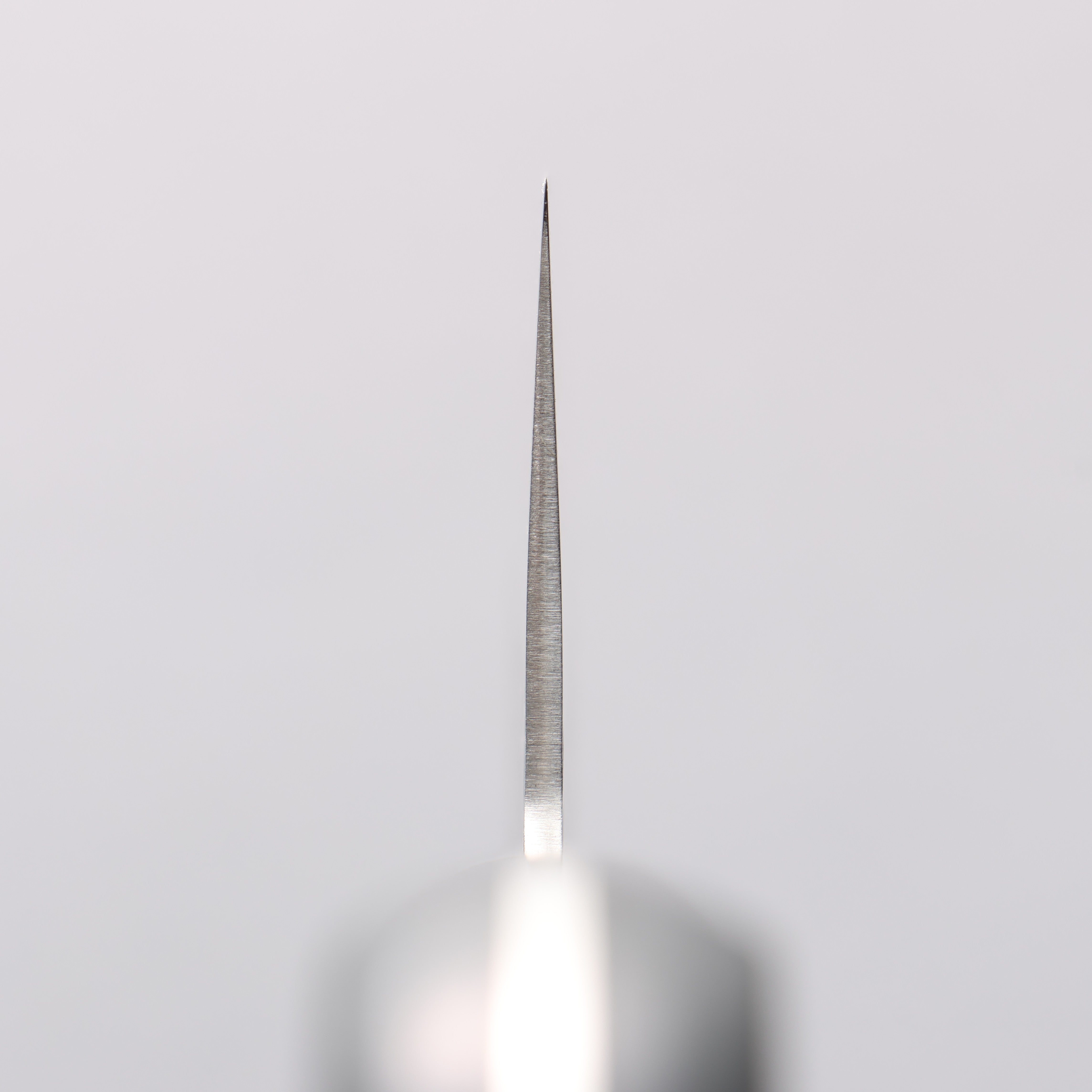 Seisuke AUS8 Hammered Nakiri 165mm Black Pakka wood Handle - Japanny - Best Japanese Knife