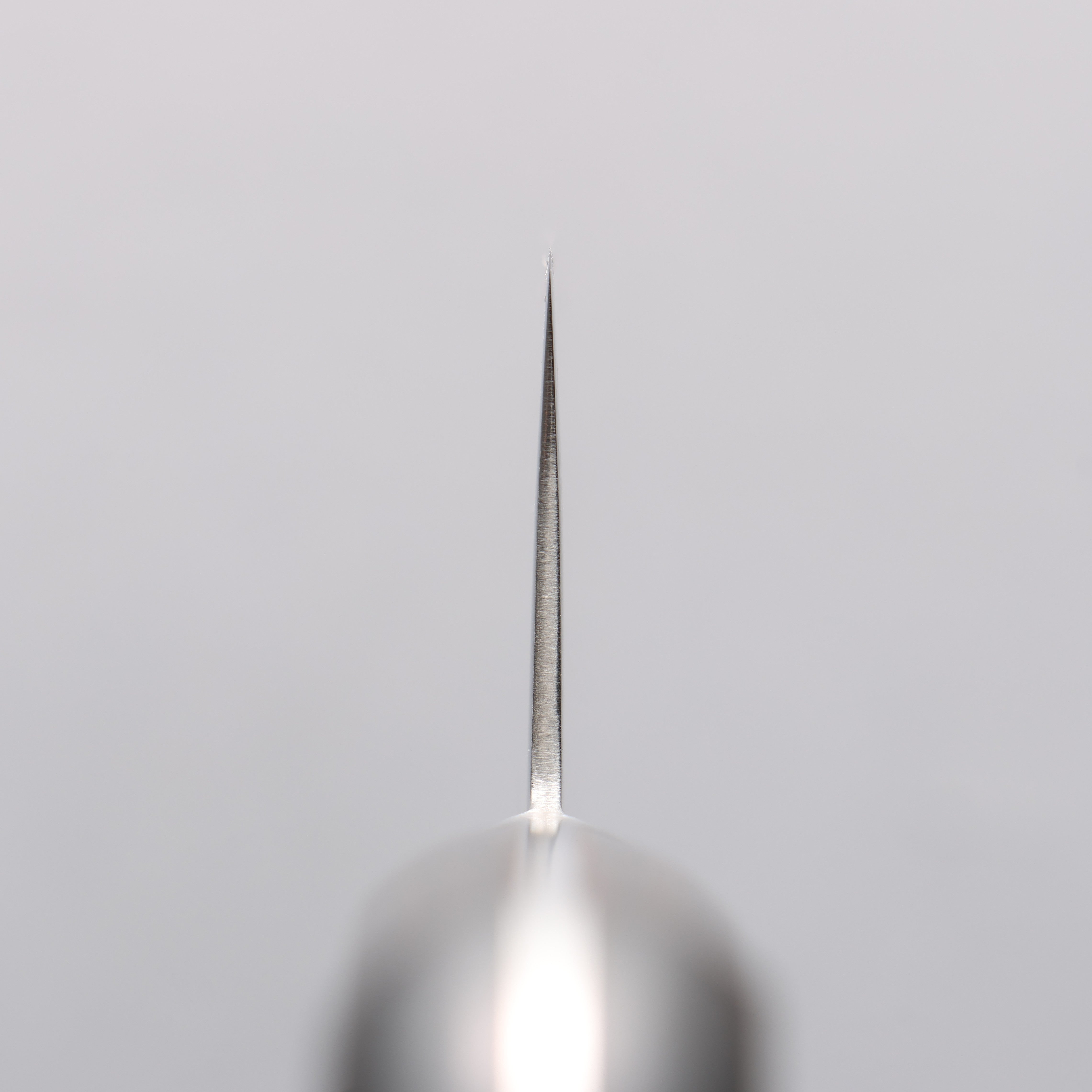 Seisuke VG10 33 Layer Gyuto 210mm Brown Pakka wood Handle - Japanny - Best Japanese Knife