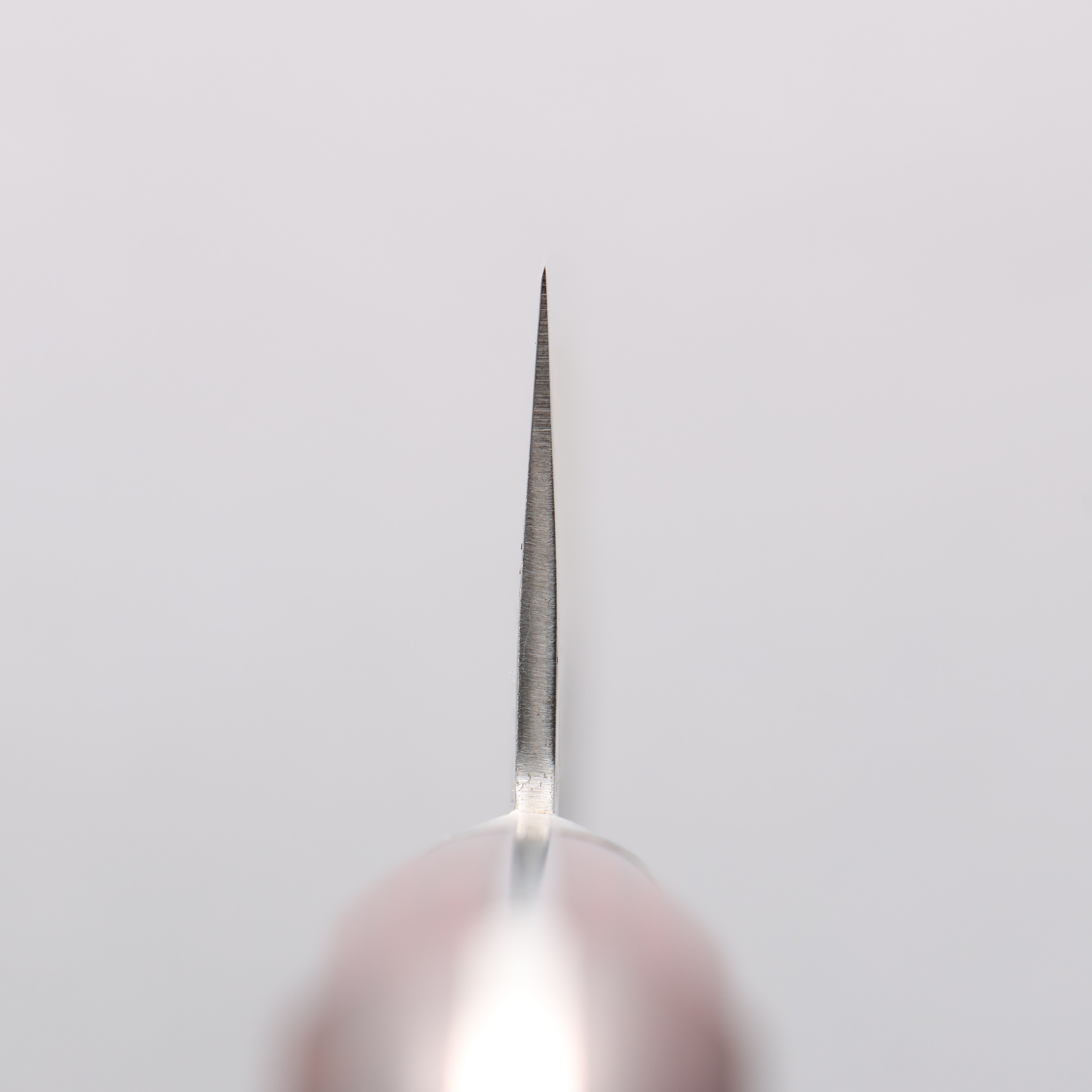 Seisuke Blue Super Hammered Gyuto 210mm Red Pakka wood Handle - Japanny - Best Japanese Knife