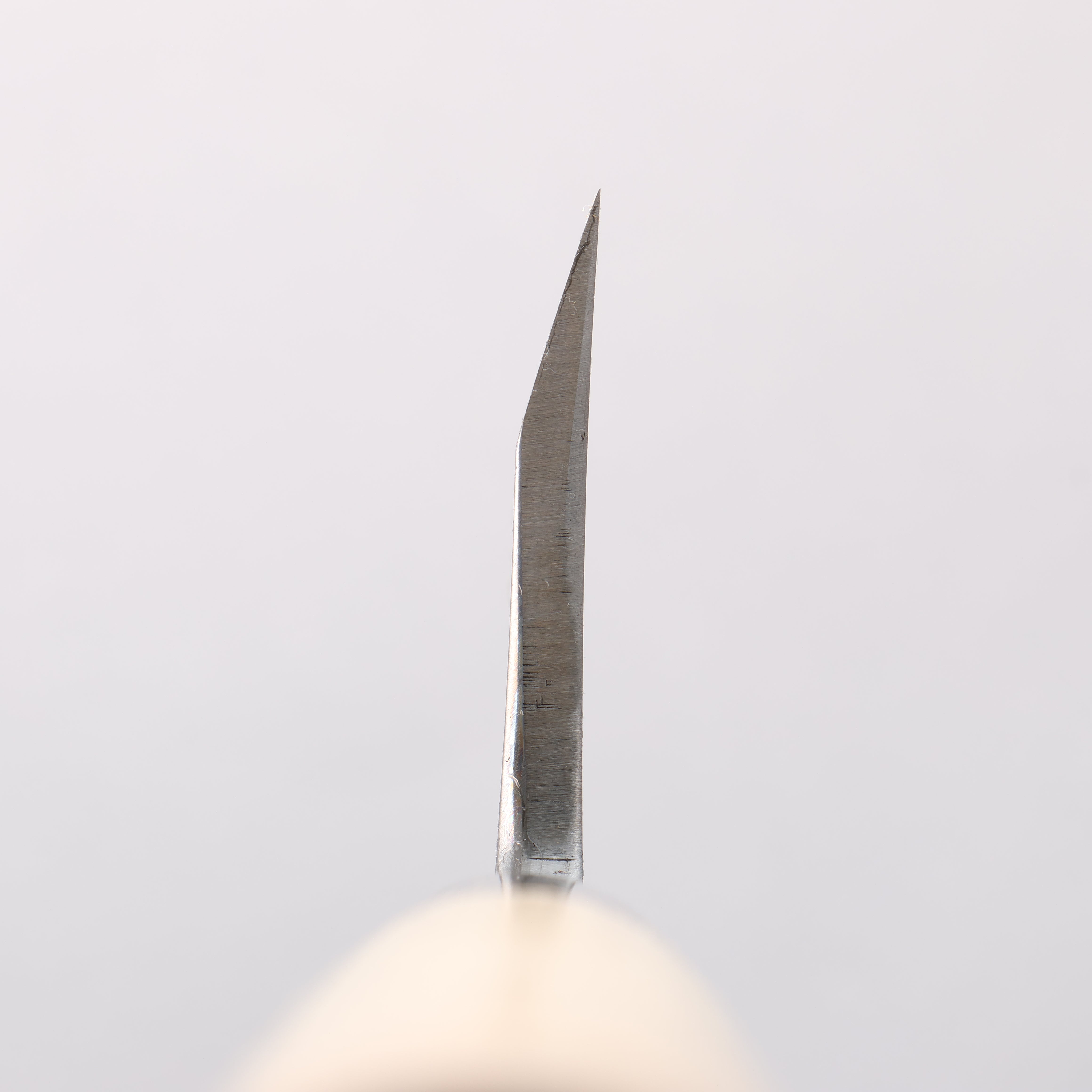 Sakai Takayuki Blue Steel No.2 Deba - Japanny - Best Japanese Knife