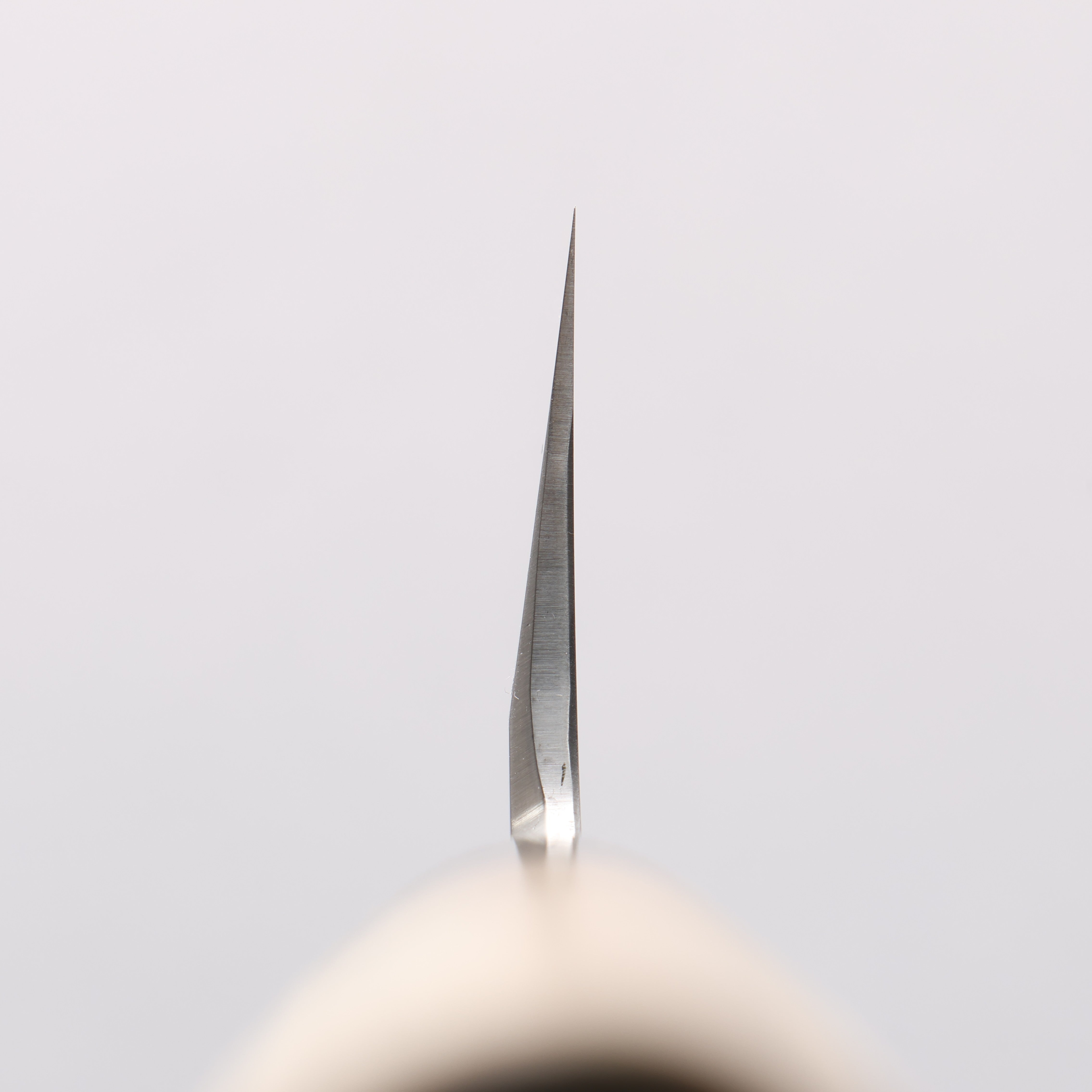 Sakai Takayuki Blue Steel No.2 Mirrored Finish Usuba - Japanny - Best Japanese Knife