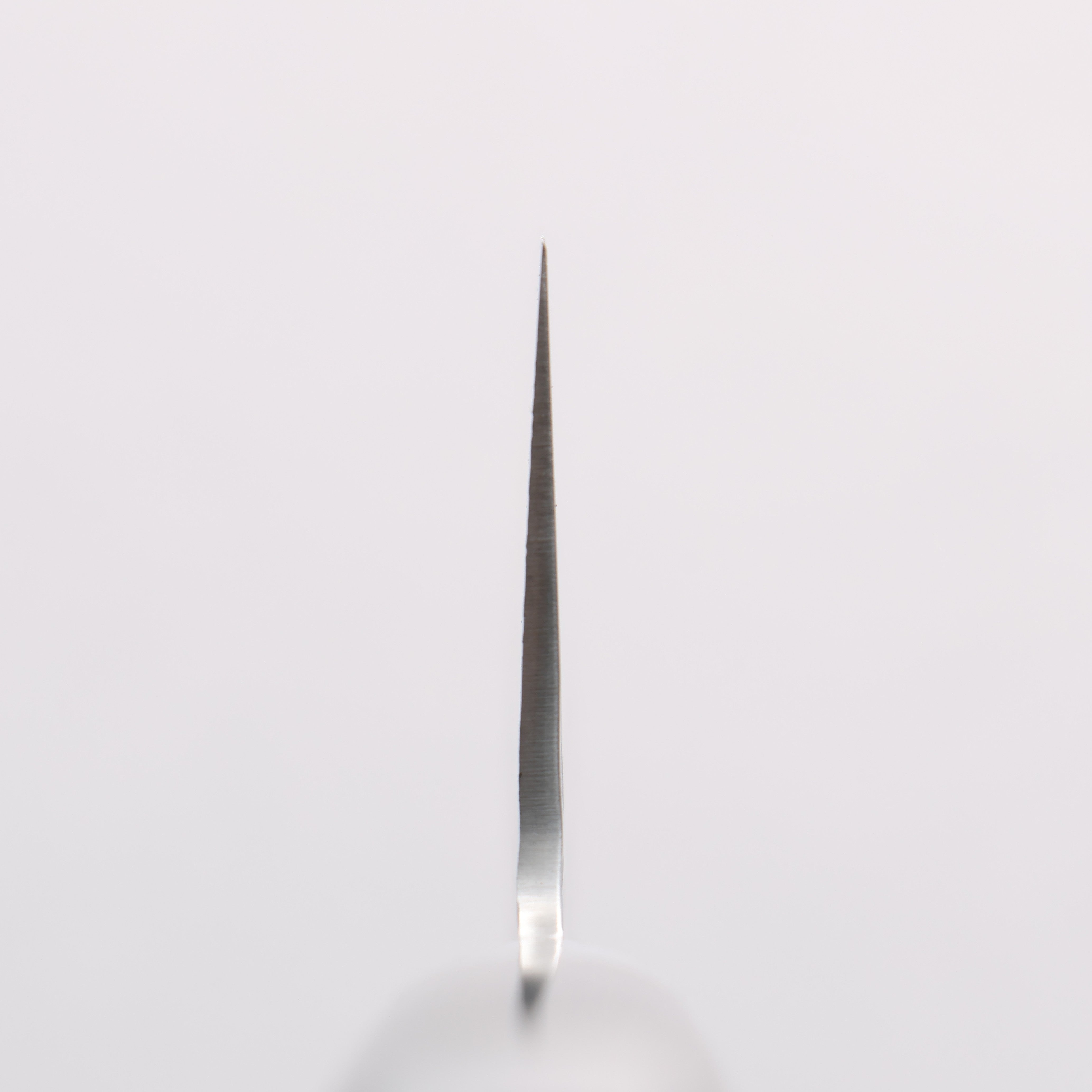 Sakai Takayuki VG10 Hammered Damascus 17 Layer Gyuto 210mm Black Pakka wood Handle - Japanny - Best Japanese Knife