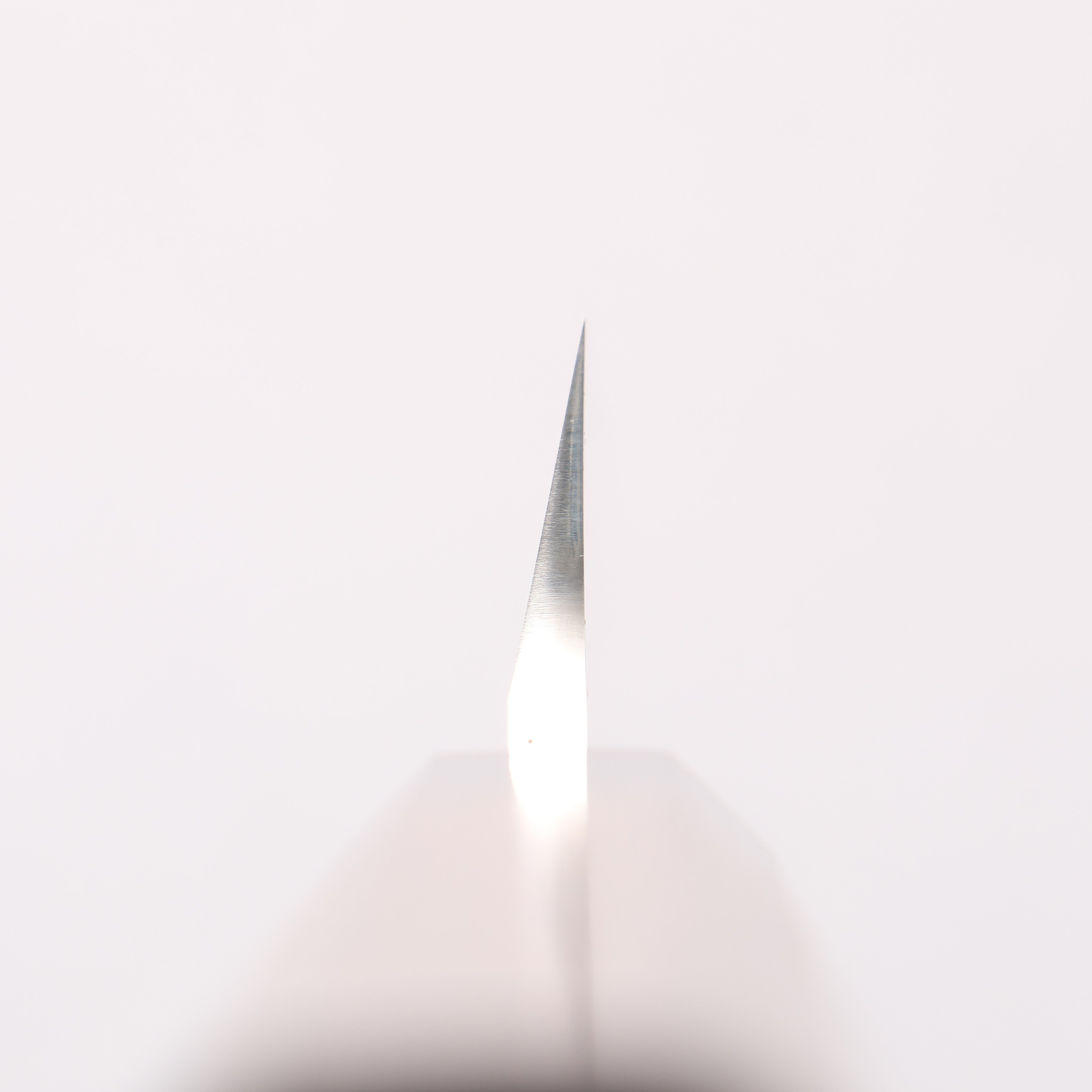 Sakai Takayuki Honyaki VG10 Dragon engraving Kengata Yanagiba 300mm Wenge Handle with Sheath - Japanny - Best Japanese Knife