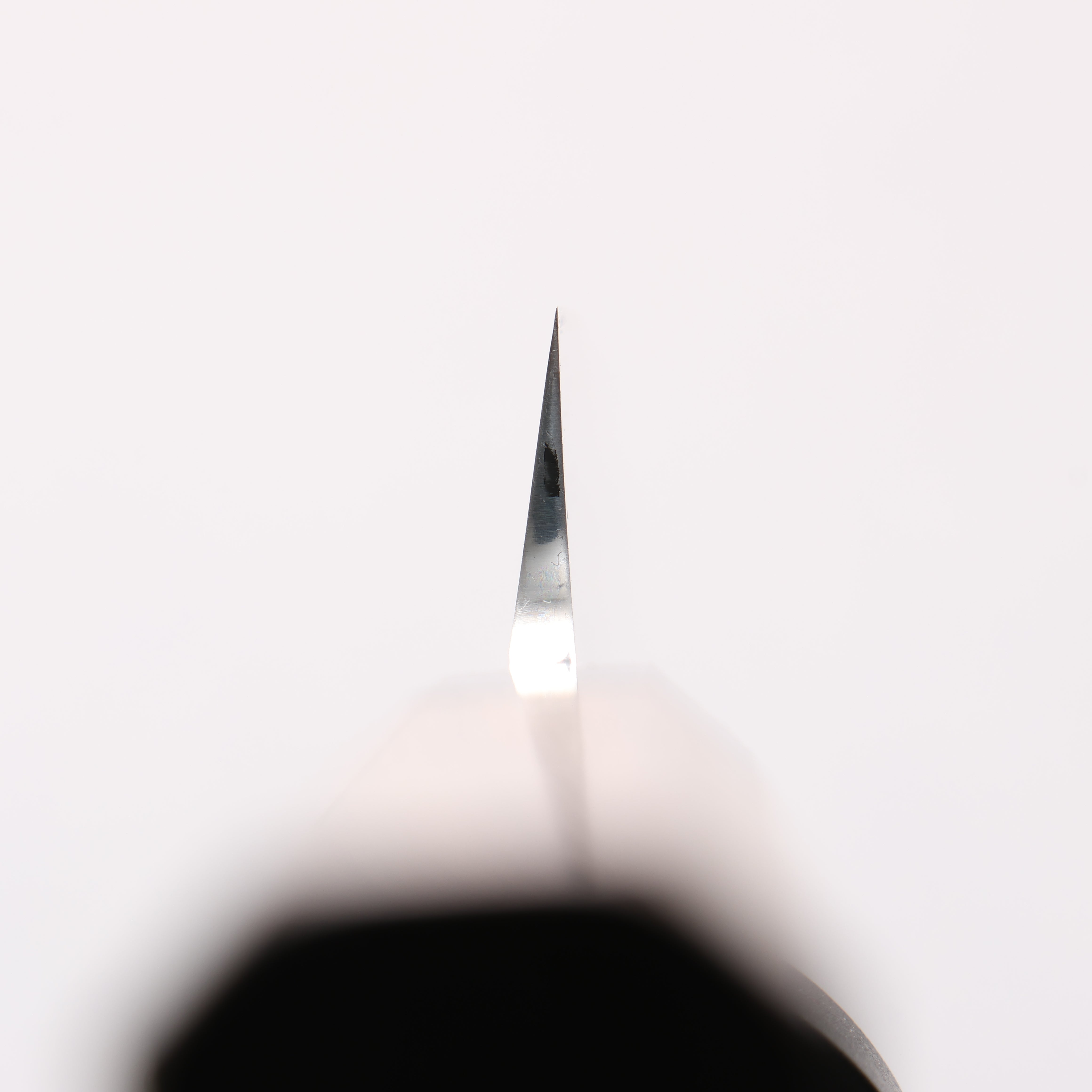 Sakai Takayuki Honyaki VG10 Dragon engraving Yanagiba 300mm Wenge Handle with Sheath - Japanny - Best Japanese Knife