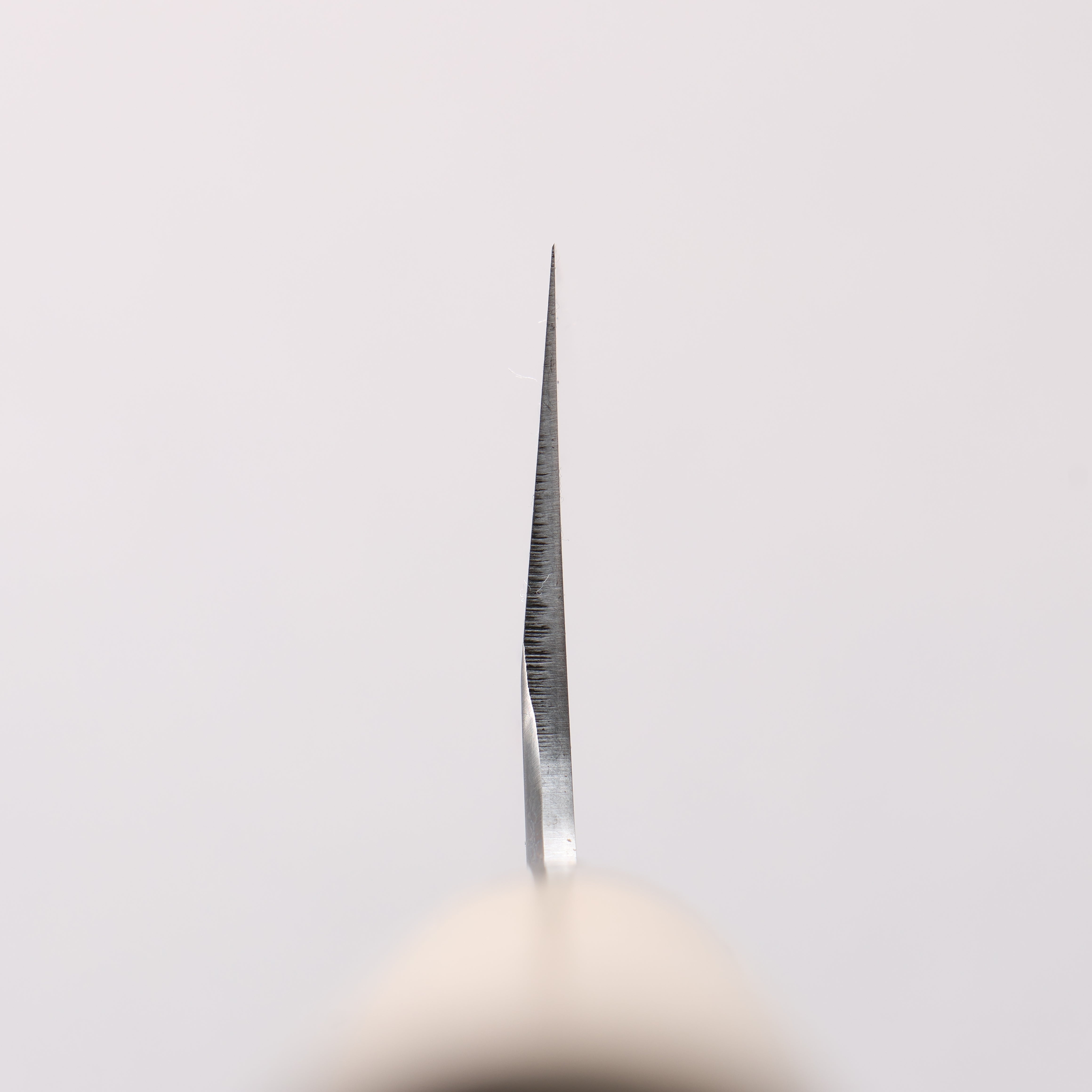 Sakai Takayuki Tokujyo White Steel No.2 Gyuto 270mm Magnolia Handle - Japanny - Best Japanese Knife