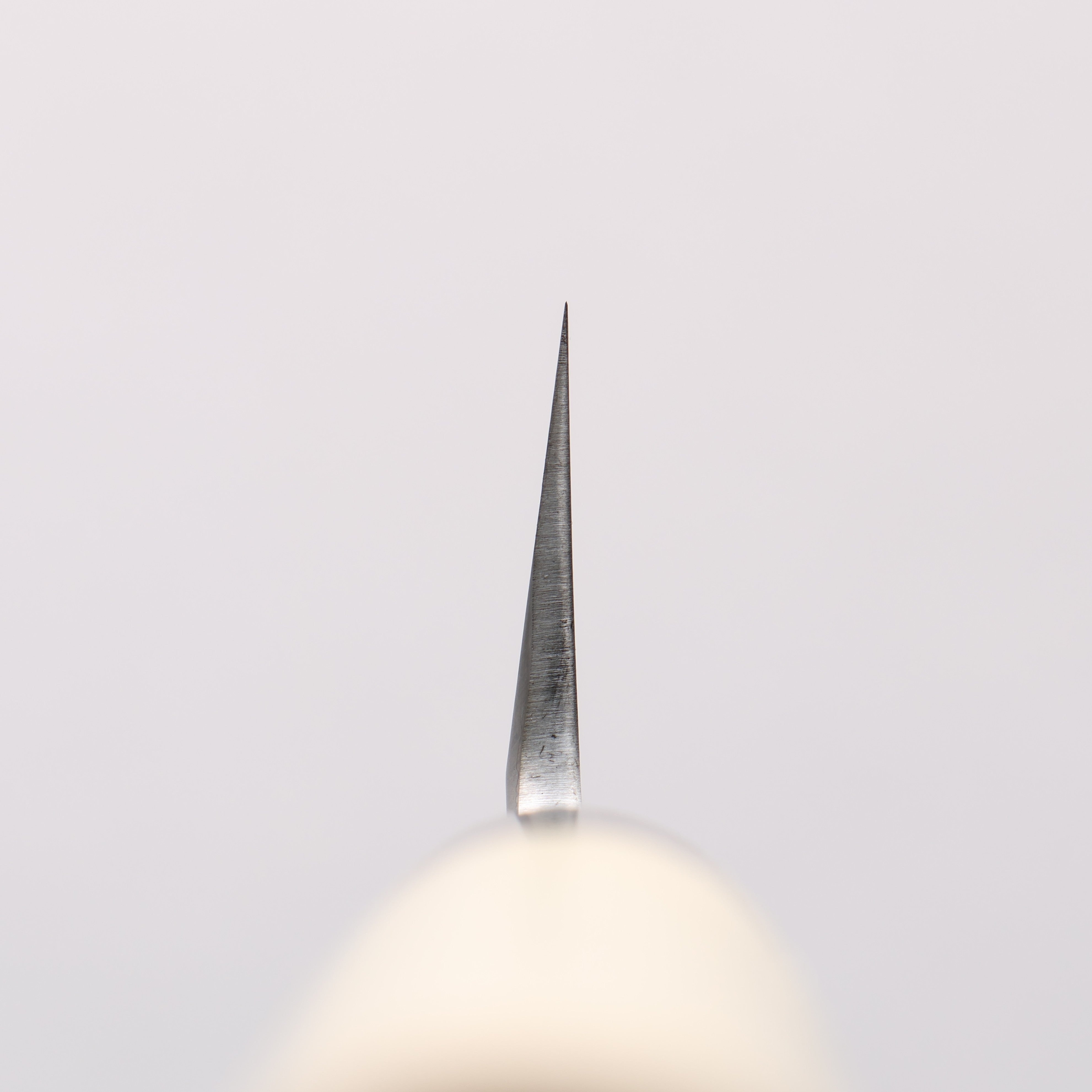 Sakai Takayuki Tokujyo White Steel No.2 Kiritsuke Gyuto 210mm Magnolia Handle - Japanny - Best Japanese Knife