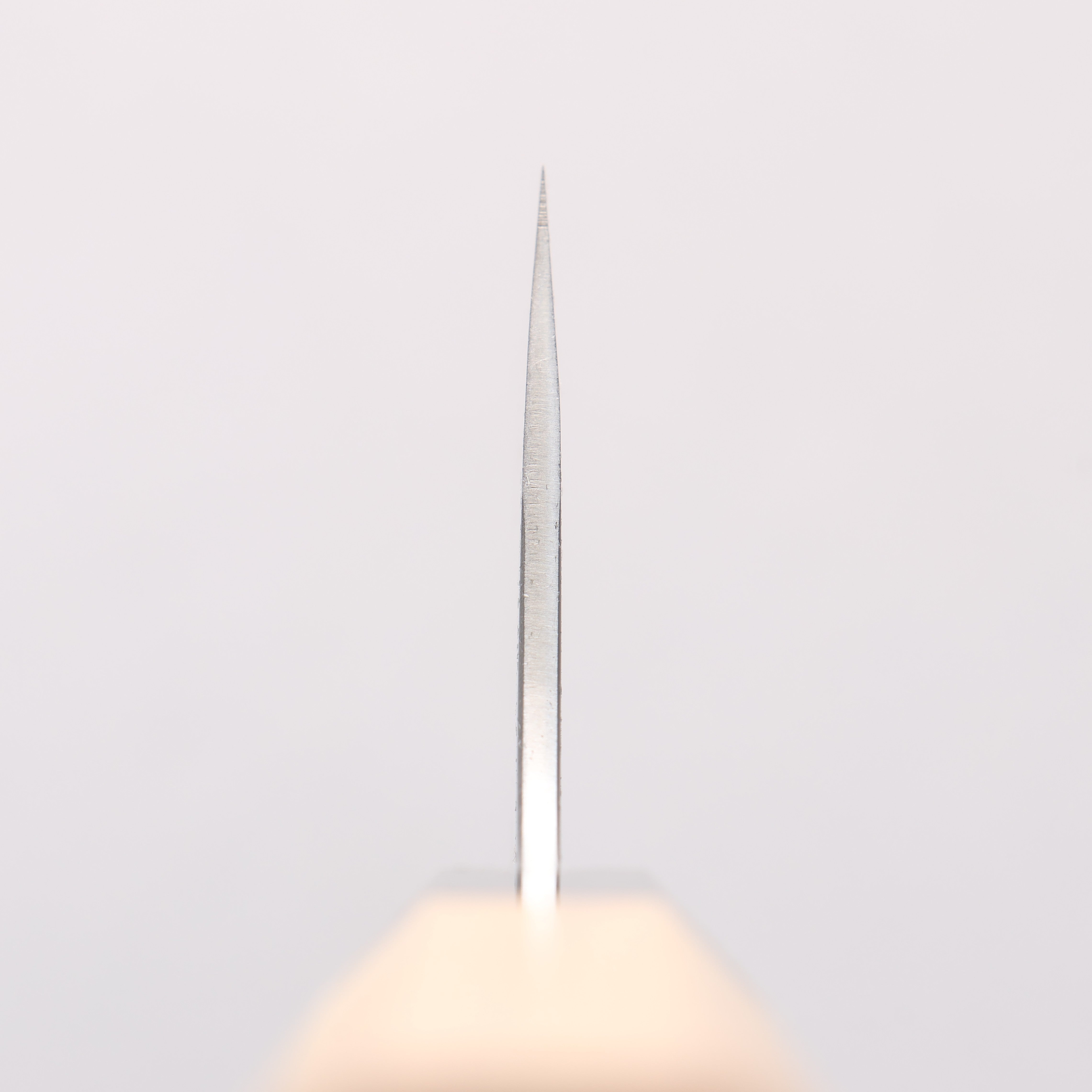 Sakai Takayuki Homura Kogetsu Blue Steel No.2 Gyuto 240mm Yew Tree Handle - Japanny - Best Japanese Knife