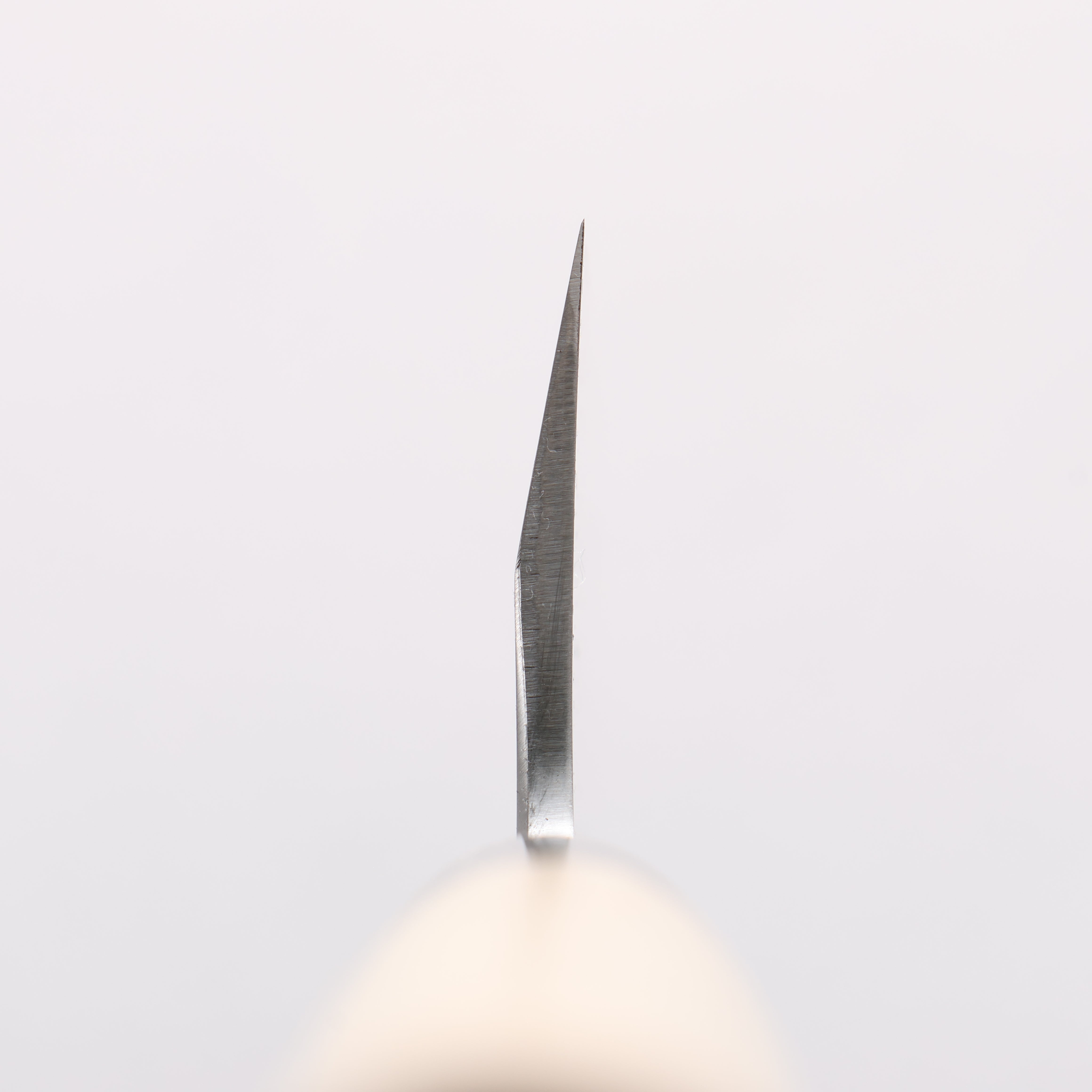 Sakai Takayuki Tokujyo White Steel No.2 Gyuto 240mm Magnolia Handle - Japanny - Best Japanese Knife