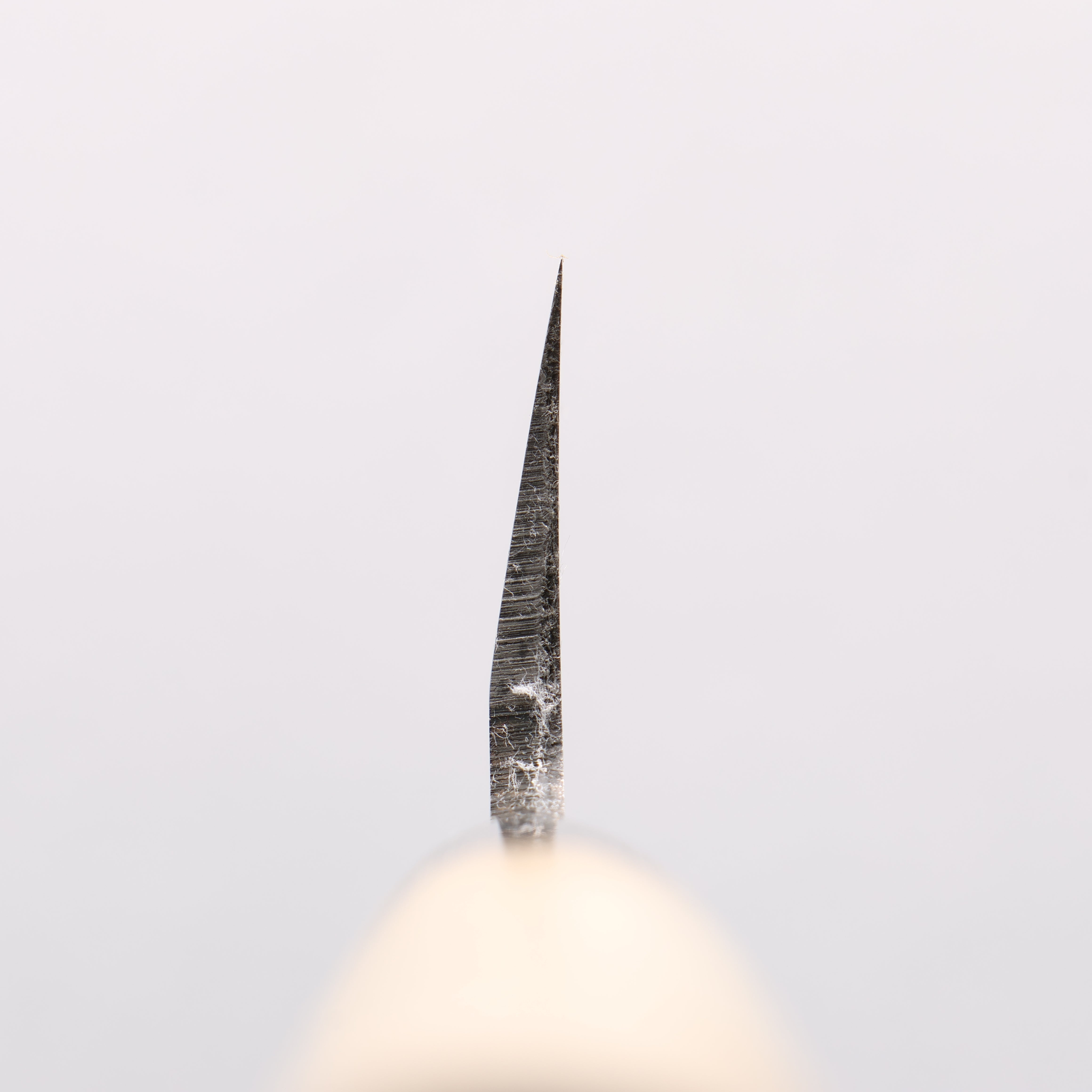 Sakai Takayuki Kasumitogi White Steel Usuba - Japanny - Best Japanese Knife