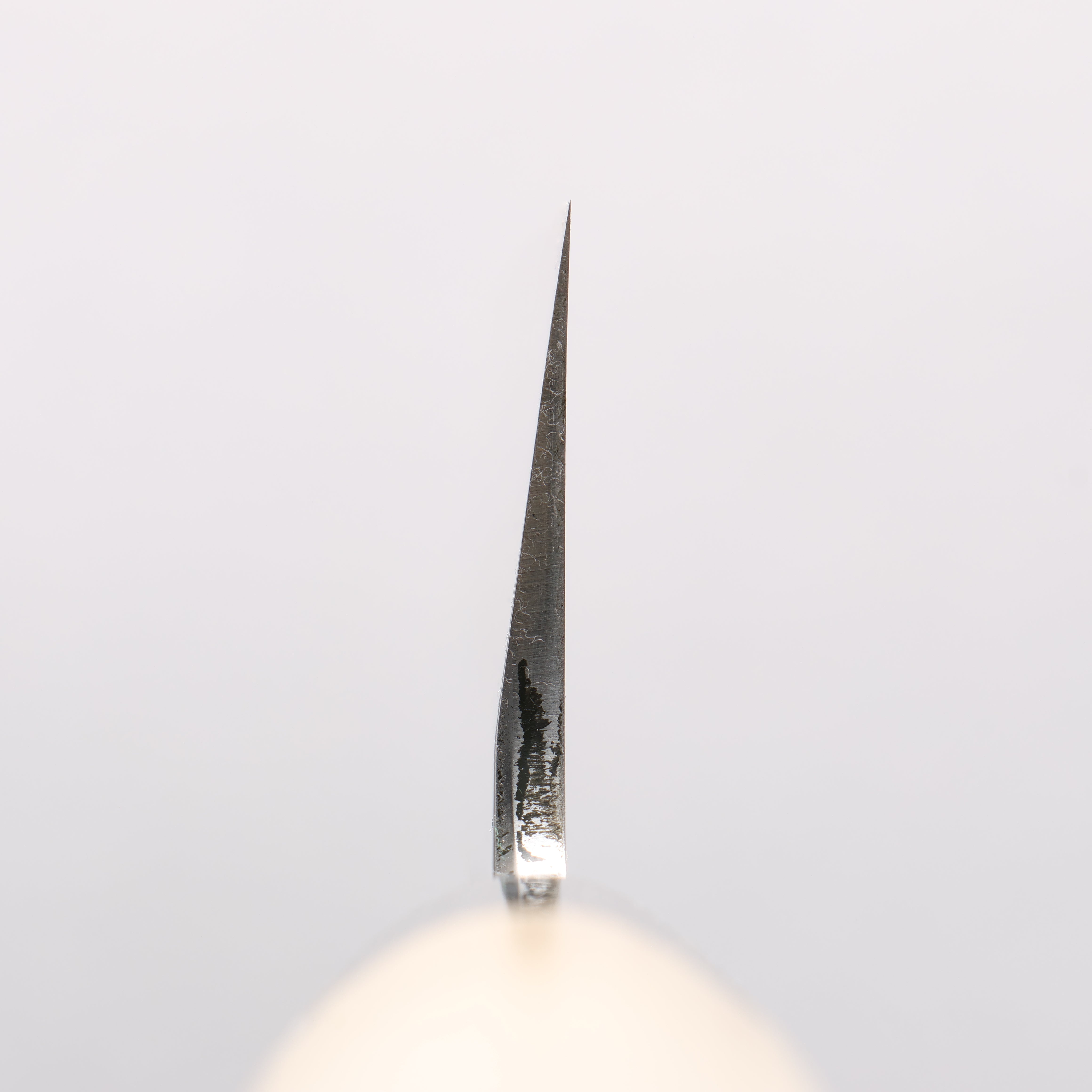 Sakai Takayuki White Steel No.2 Mirrored Finish Usuba - Japanny - Best Japanese Knife