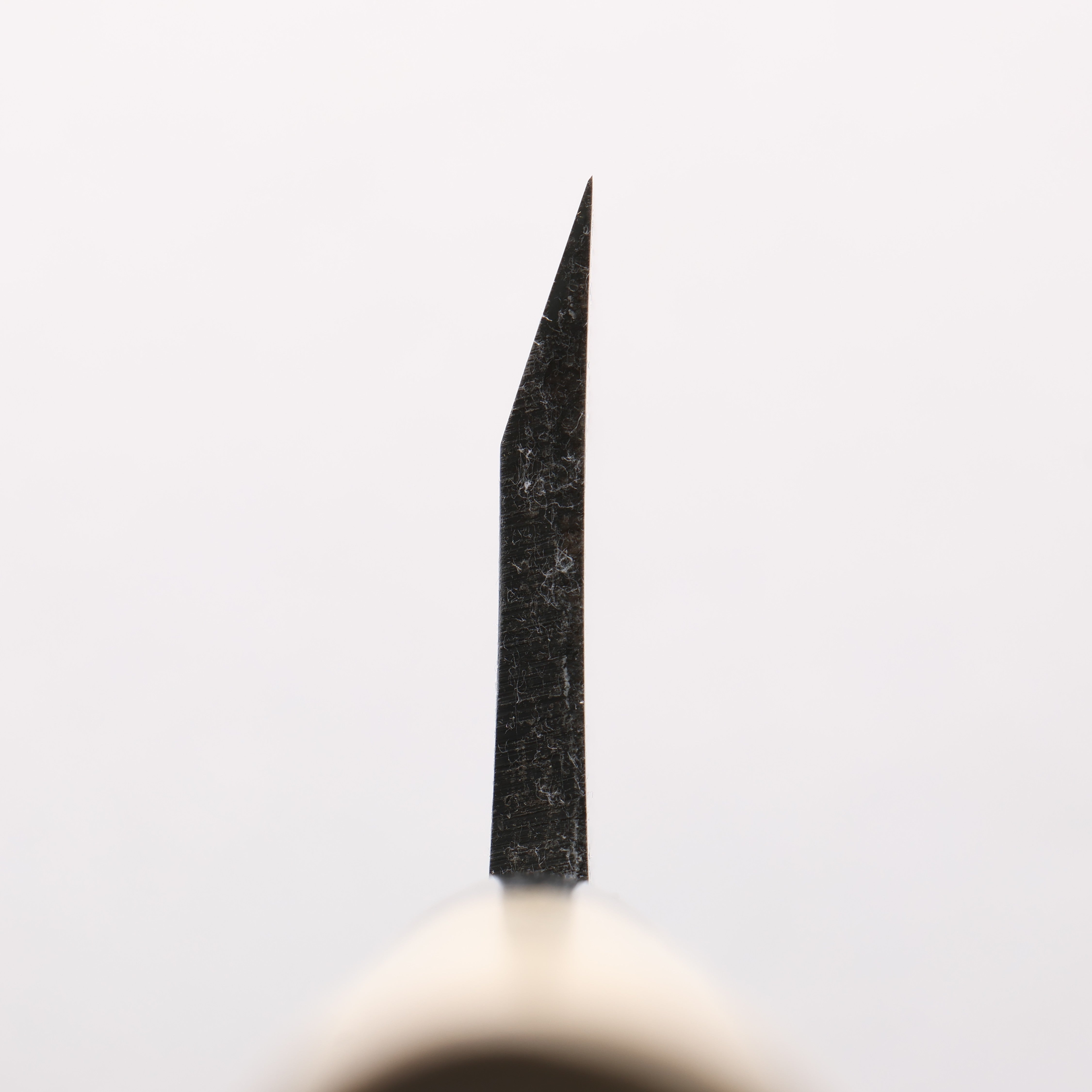 Sakai Takayuki Kasumitogi White Steel Deba - Japanny - Best Japanese Knife