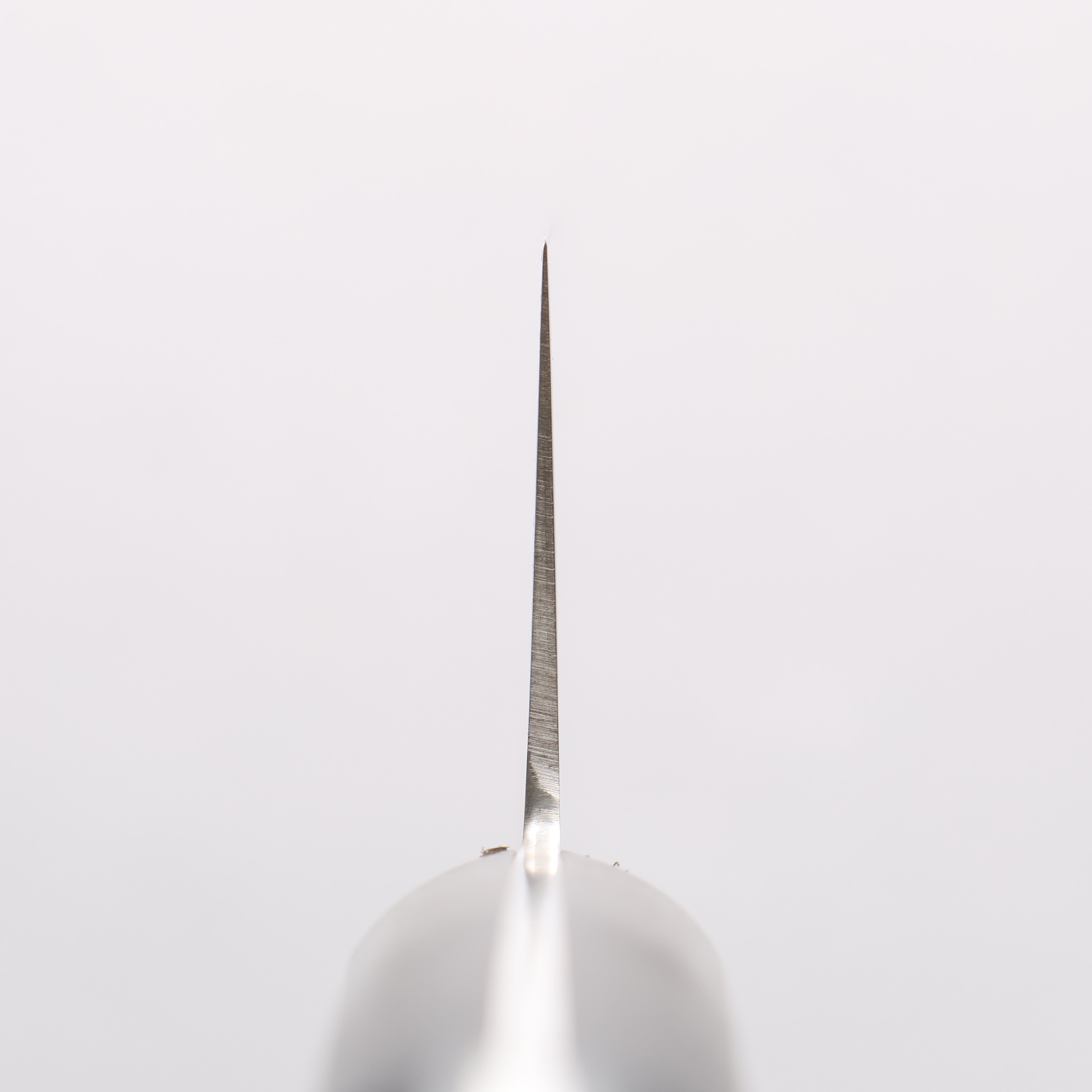 Sakai Takayuki Molybdenum Migaki Finished Gyuto 210mm Black PC(Plastic) Handle - Japanny - Best Japanese Knife