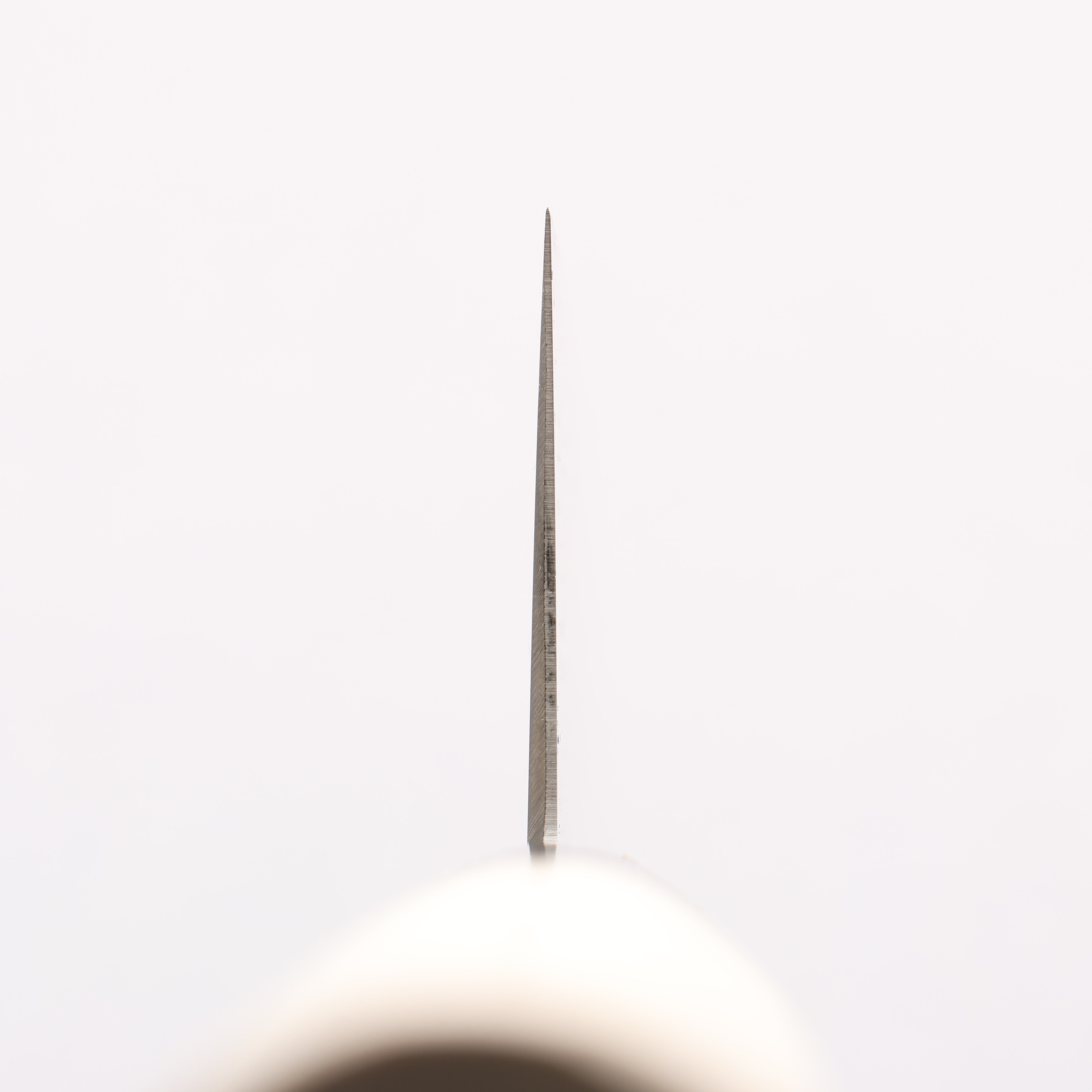 Sakai Takayuki Grand Chef Grand Chef Swedish Steel-stn Gyuto 270mm Magnolia Handle - Japanny - Best Japanese Knife