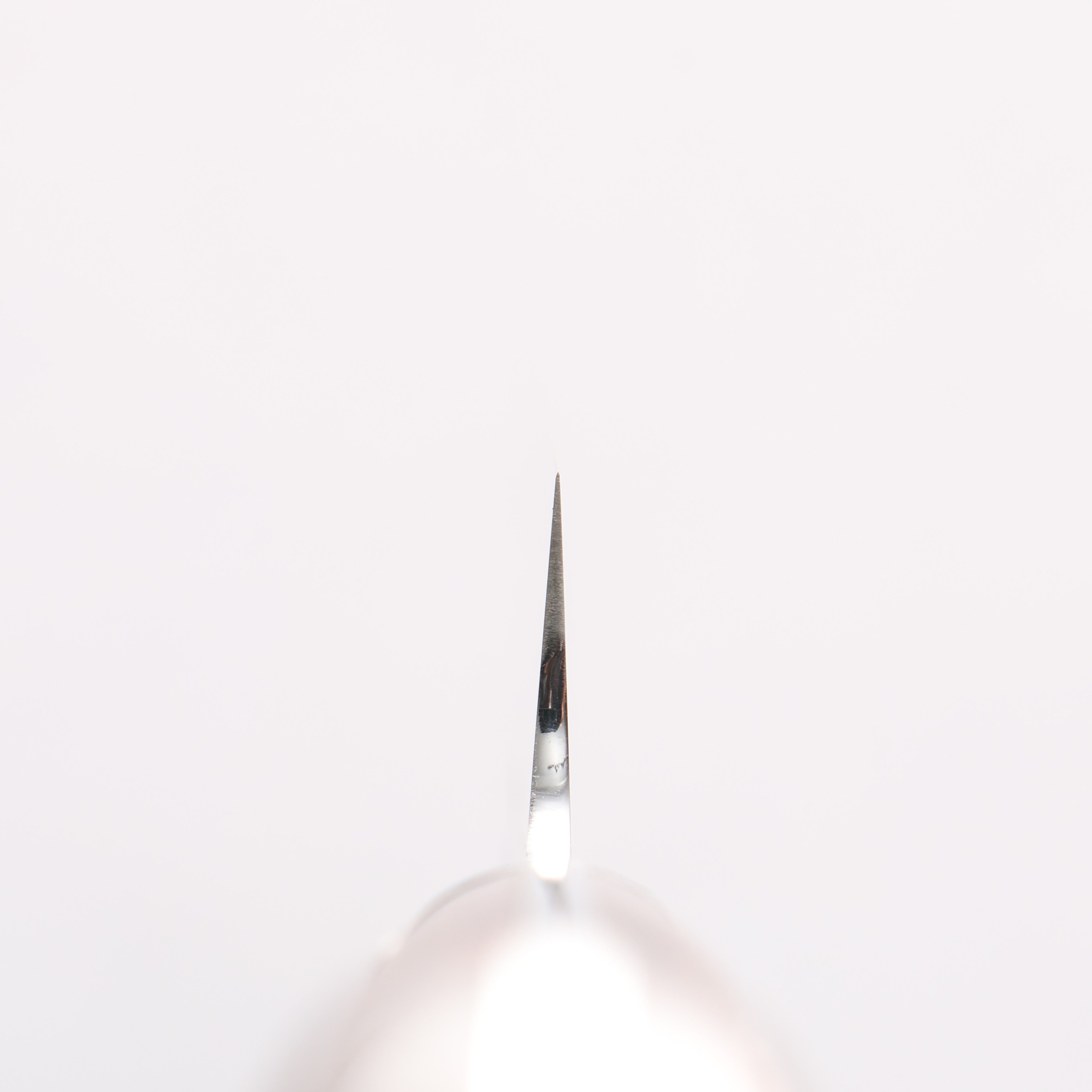 Sakai Takayuki Grand Chef [Left Handed] Swedish Steel-stn Kiritsuke Yanagiba 260mm Desert Ironwood(Sugihara model) Handle with Sheath - Japanny - Best Japanese Knife