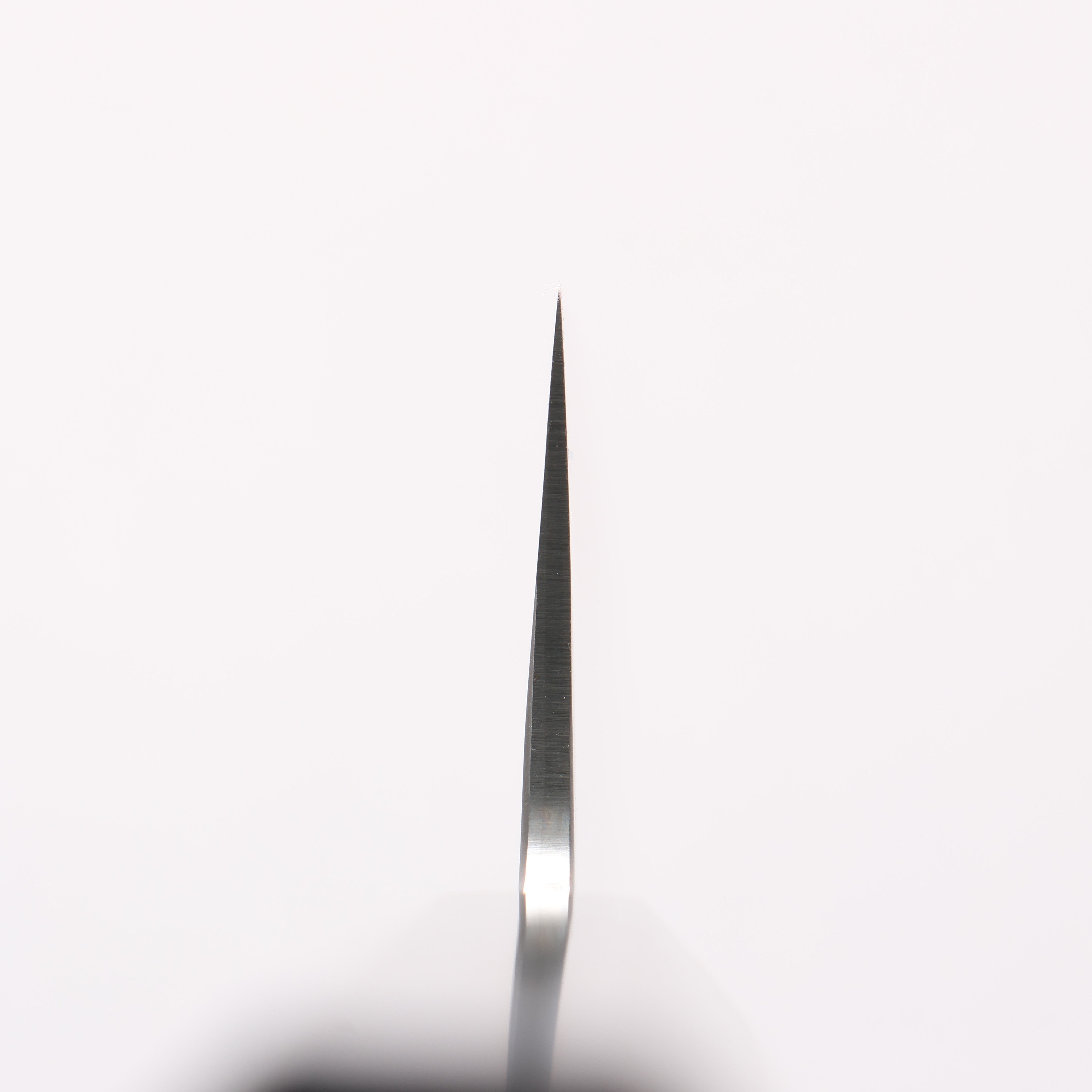 Sakai Takayuki Silver Steel No.3 Gyuto - Japanny - Best Japanese Knife