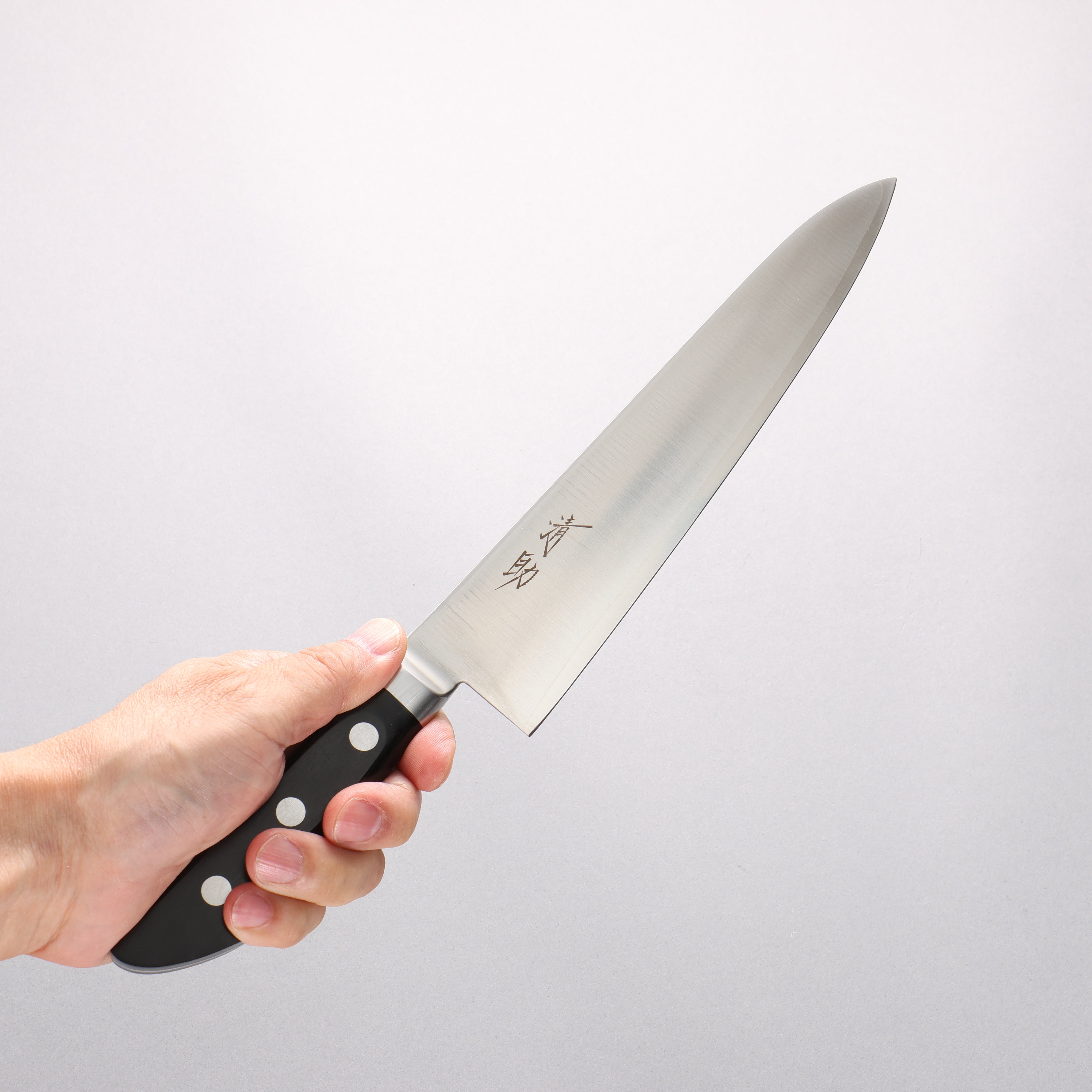 Seisuke VG1 Gyuto 210mm Black Pakka wood Handle - Japanny - Best Japanese Knife