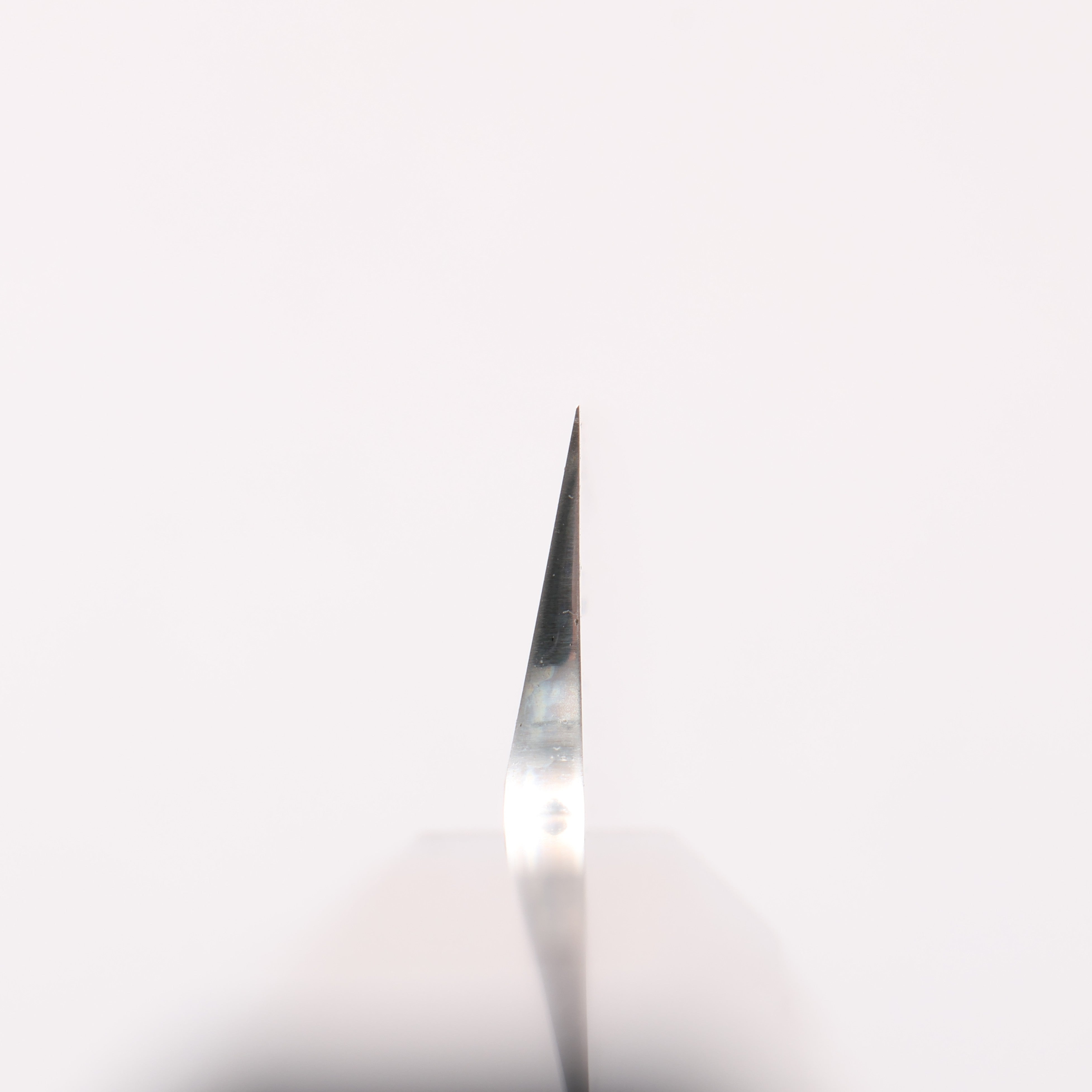 Sakai Takayuki Ginryu Honyaki Swedish Steel Mirrored Finish Yanagiba 300mm Wenge with Double Water Buffalo Ring Handle with Sheath - Japanny - Best Japanese Knife