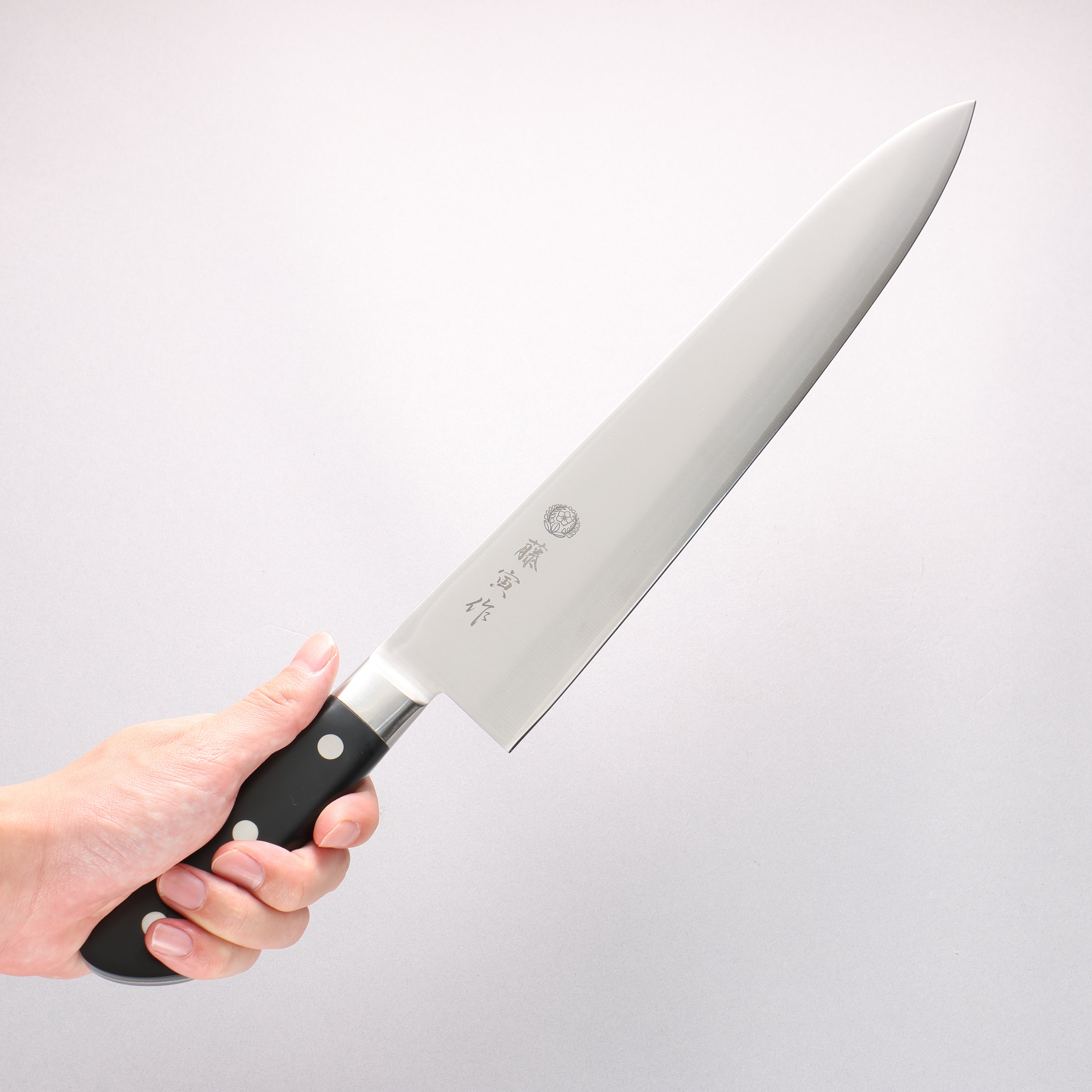 Tojiro (Fujitora) DP Cobalt Alloy Steel Gyuto 300mm Pakka wood Handle FU811 - Japanny - Best Japanese Knife
