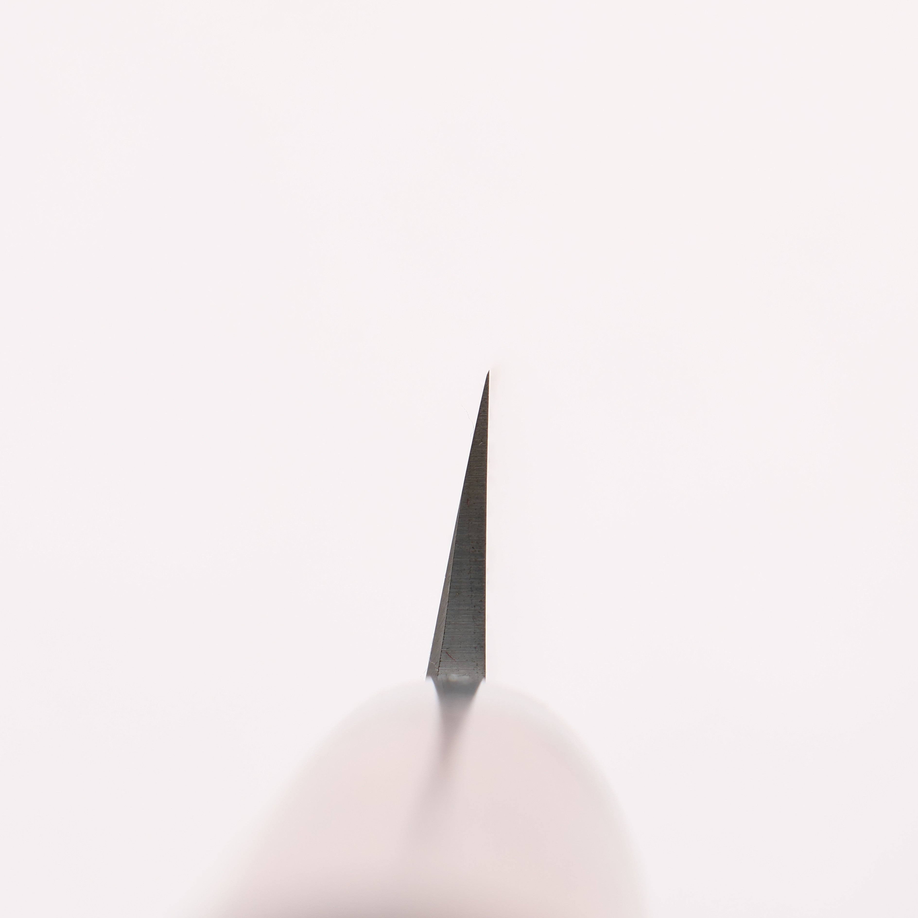 Jikko White Steel No.2 Kiritsuke Yanagiba 300mm Shitan Handle - Japanny - Best Japanese Knife