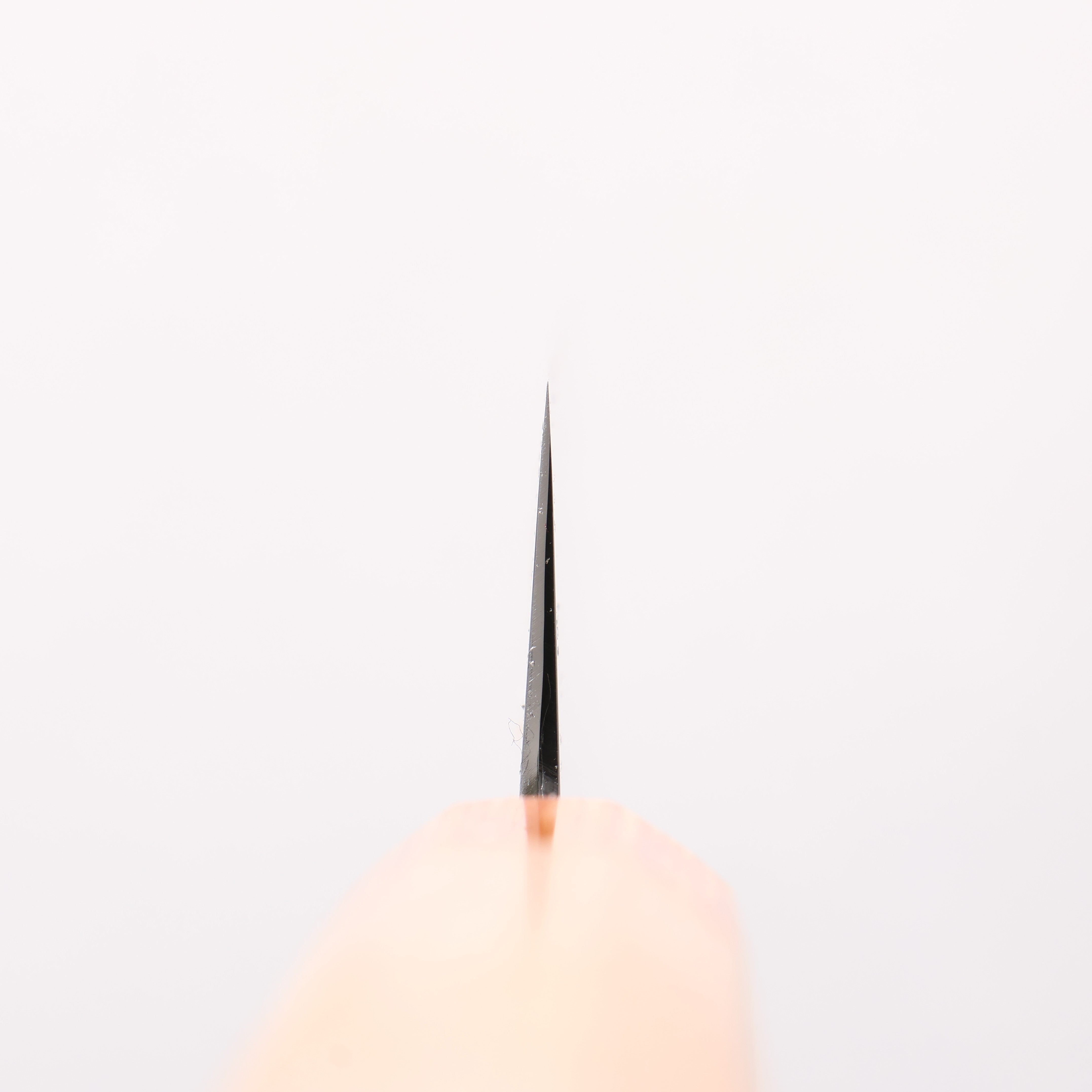 Jikko Kujira White Steel Santoku 180mm Cherry Wood Handle - Japanny - Best Japanese Knife