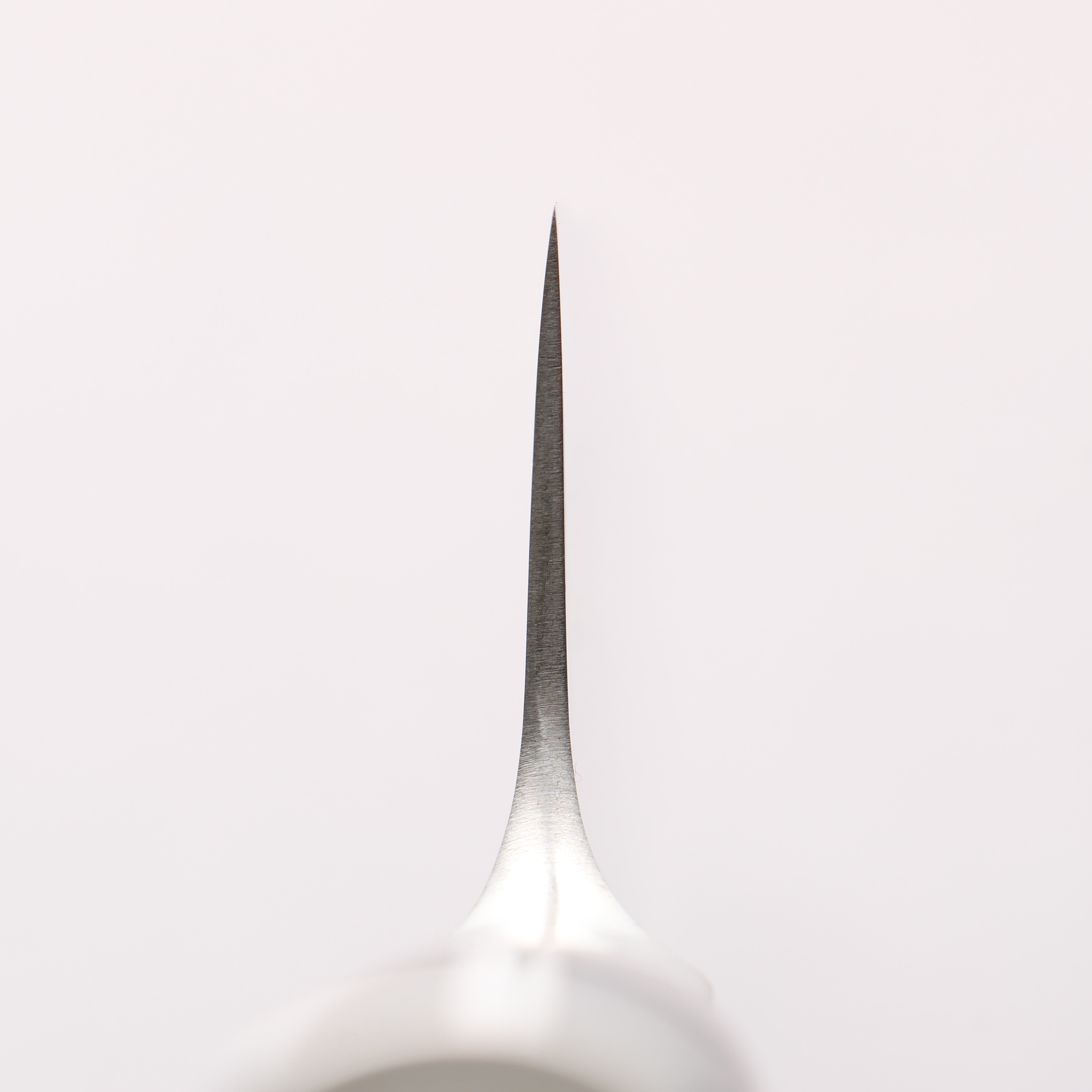 Glestain Stainless Steel Carving 330mm - Japanny - Best Japanese Knife