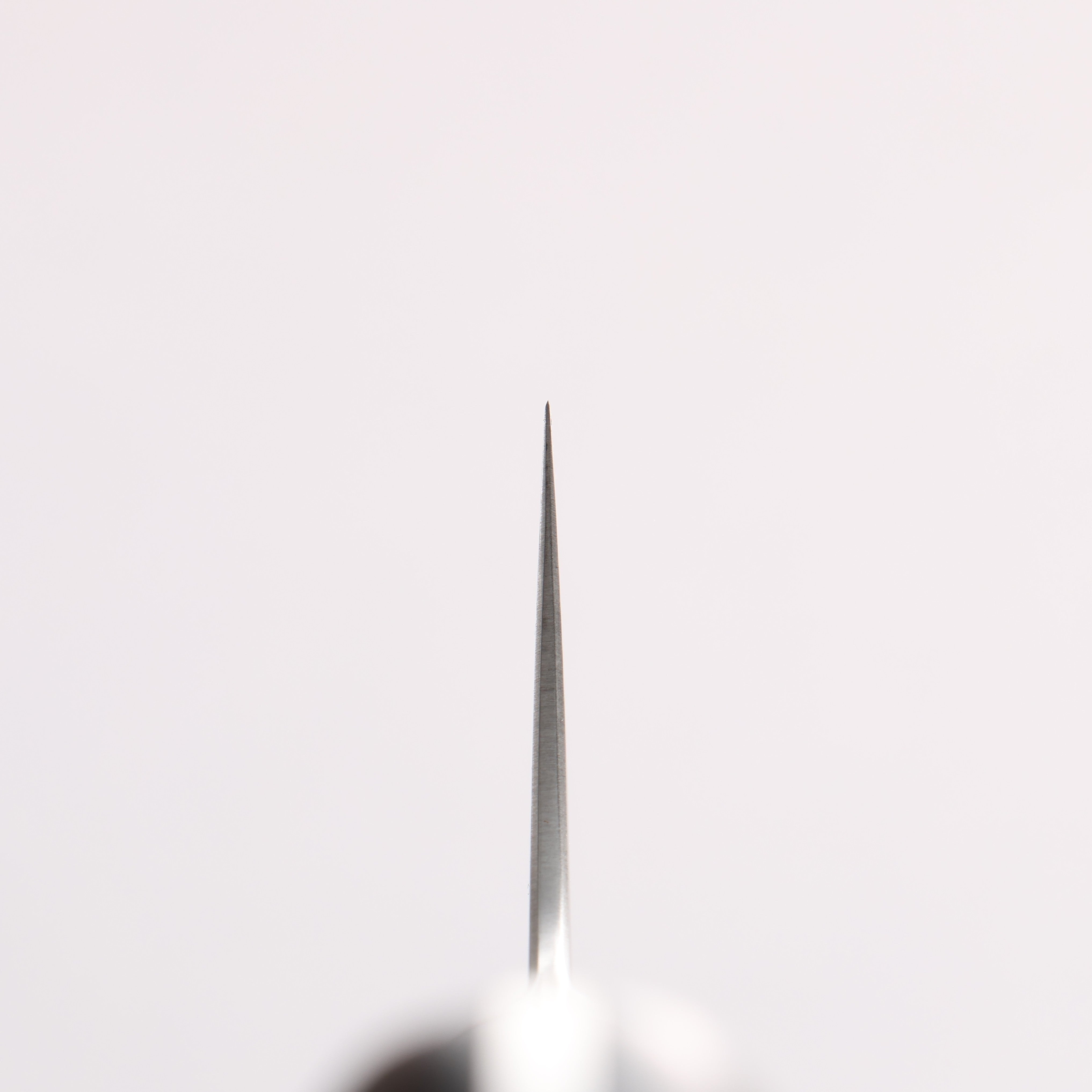 Kajin Blue Super Damascus Gyuto 210mm Mahogany Handle - Japanny - Best Japanese Knife