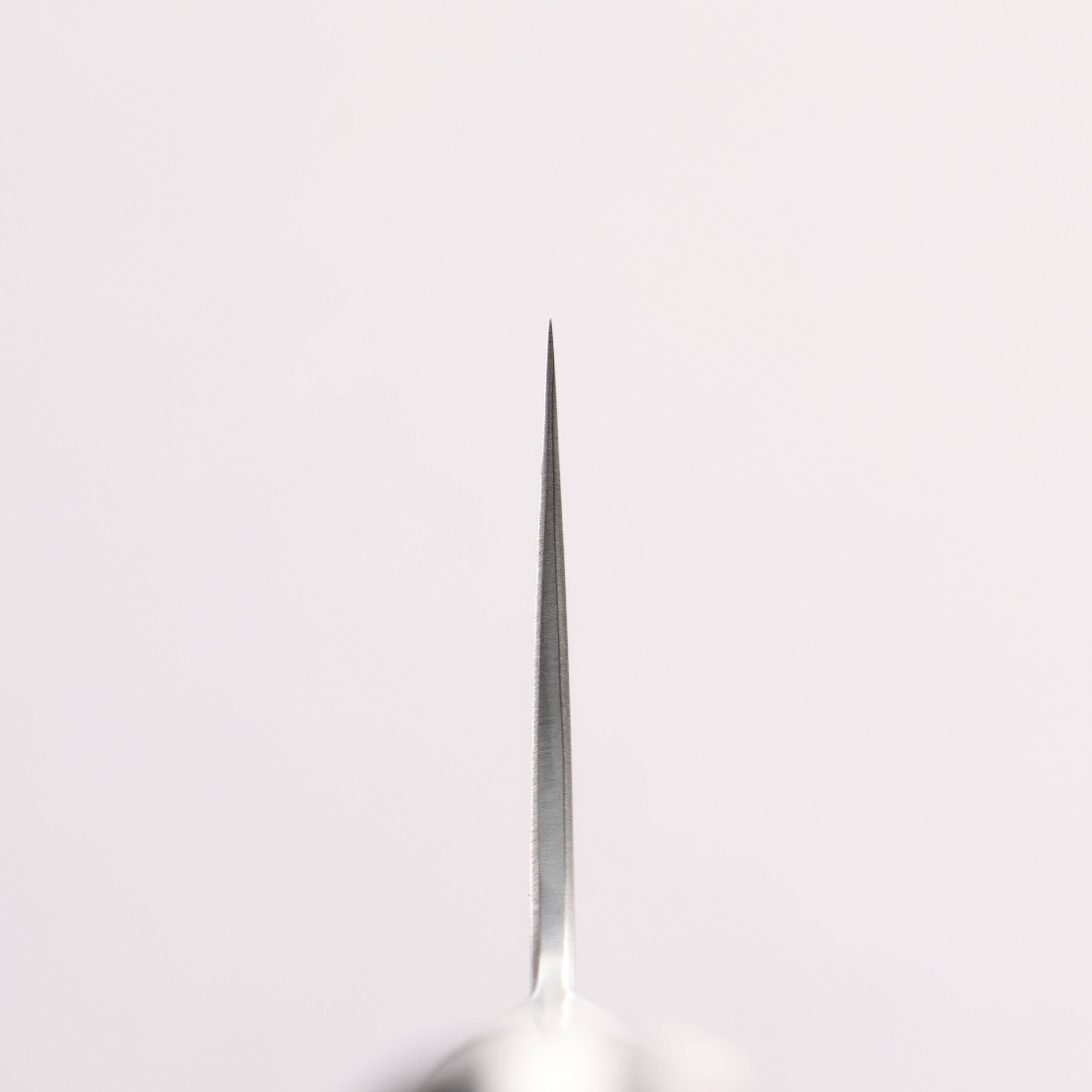 Kajin Blue Super Damascus Gyuto 240mm Mahogany Handle - Japanny - Best Japanese Knife