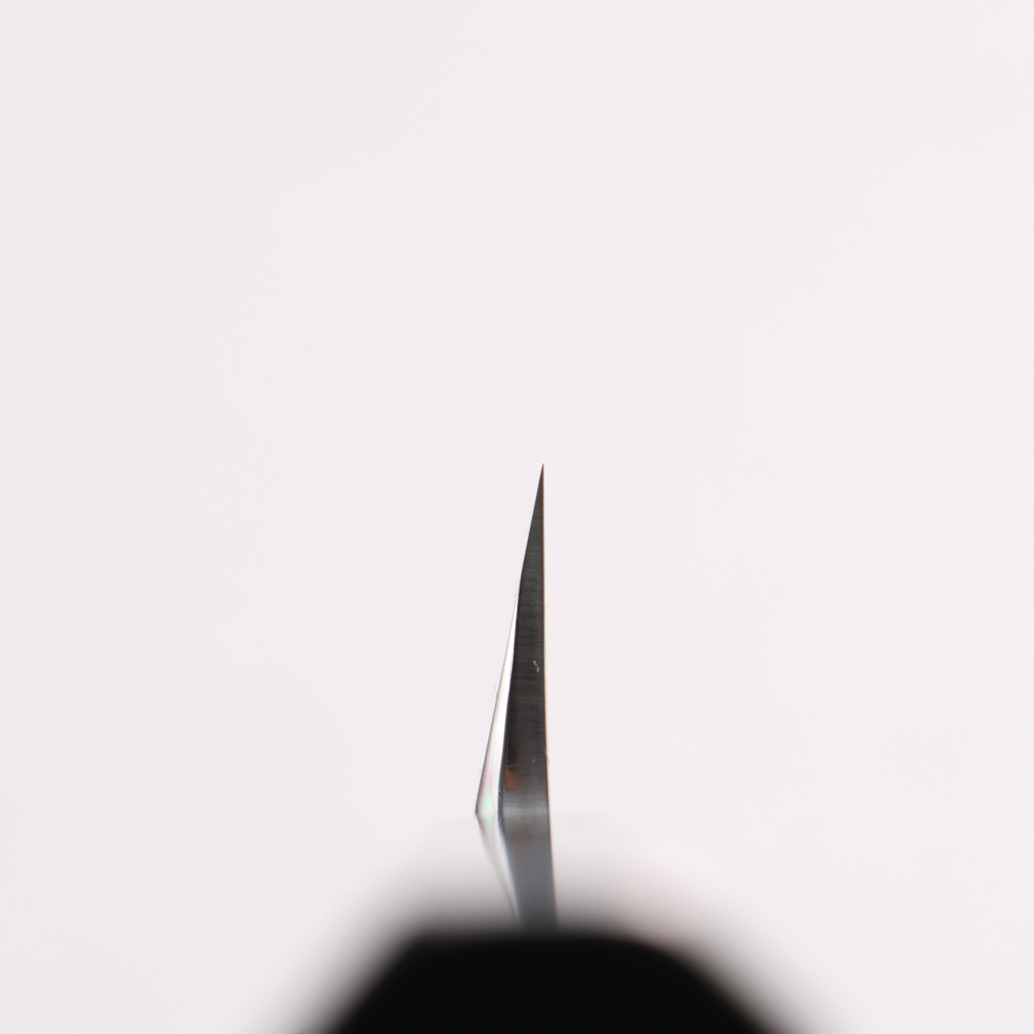 Tessen by Tanaka Tamahagane Mirrored Finish Yanagiba 240mm Ebony Wood Handle with Sheath - Japanny - Best Japanese Knife