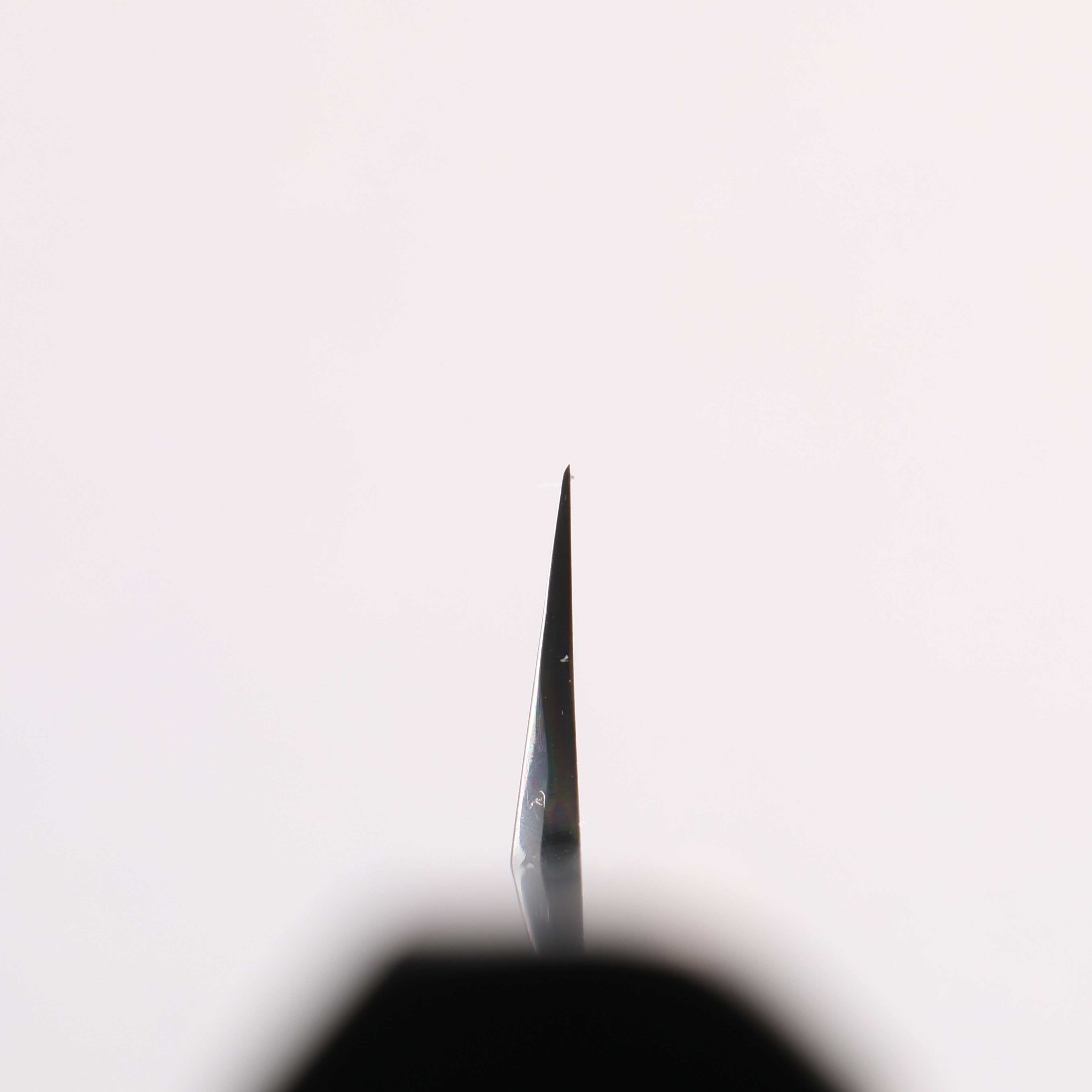 Tessen by Tanaka Tamahagane Mirrored Finish Kiritsuke Yanagiba 270mm Ebony Wood Handle with Sheath - Japanny - Best Japanese Knife