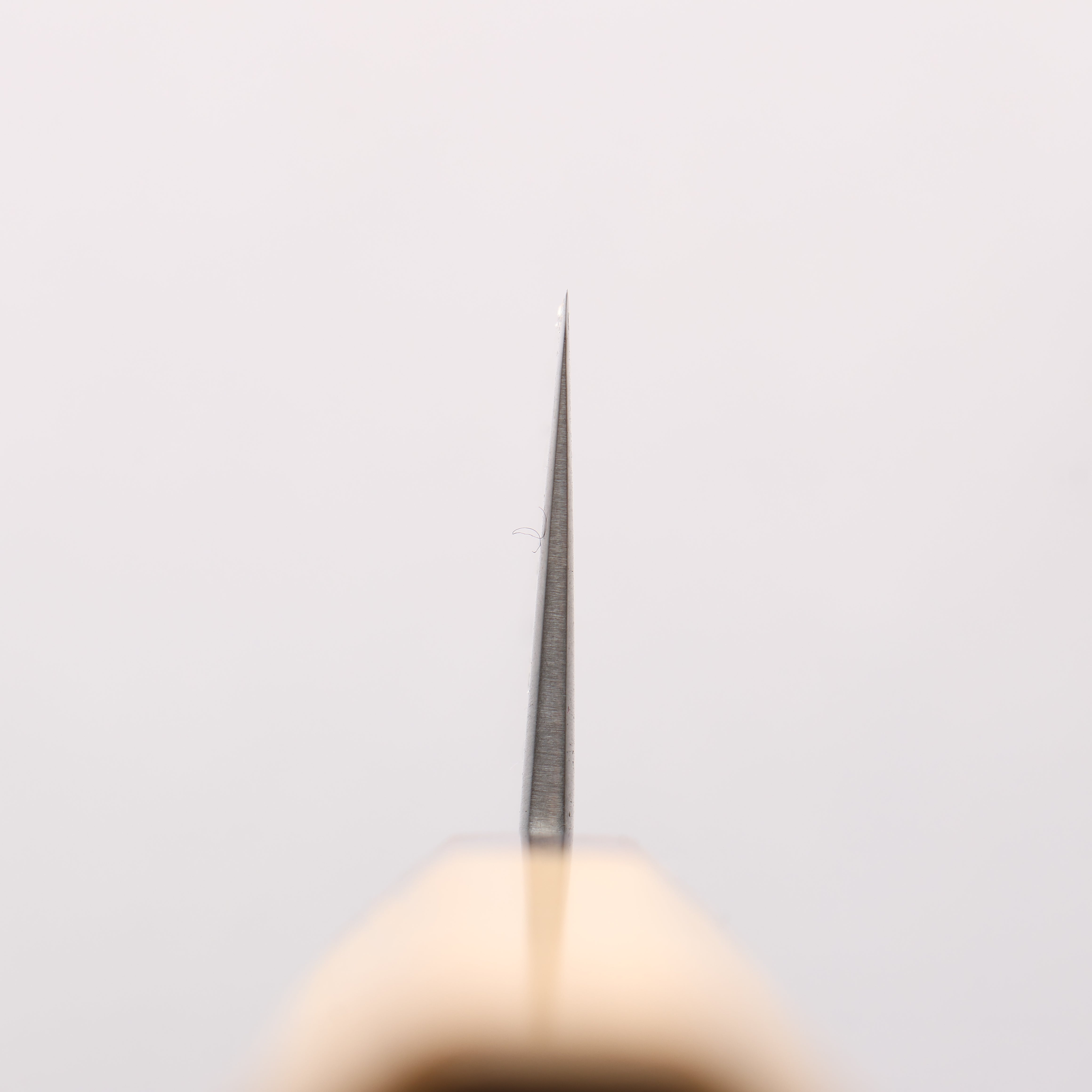 Oul White Steel No.1 Gyuto 210mm Keyaki (Japanese Elm) Handle - Japanny - Best Japanese Knife