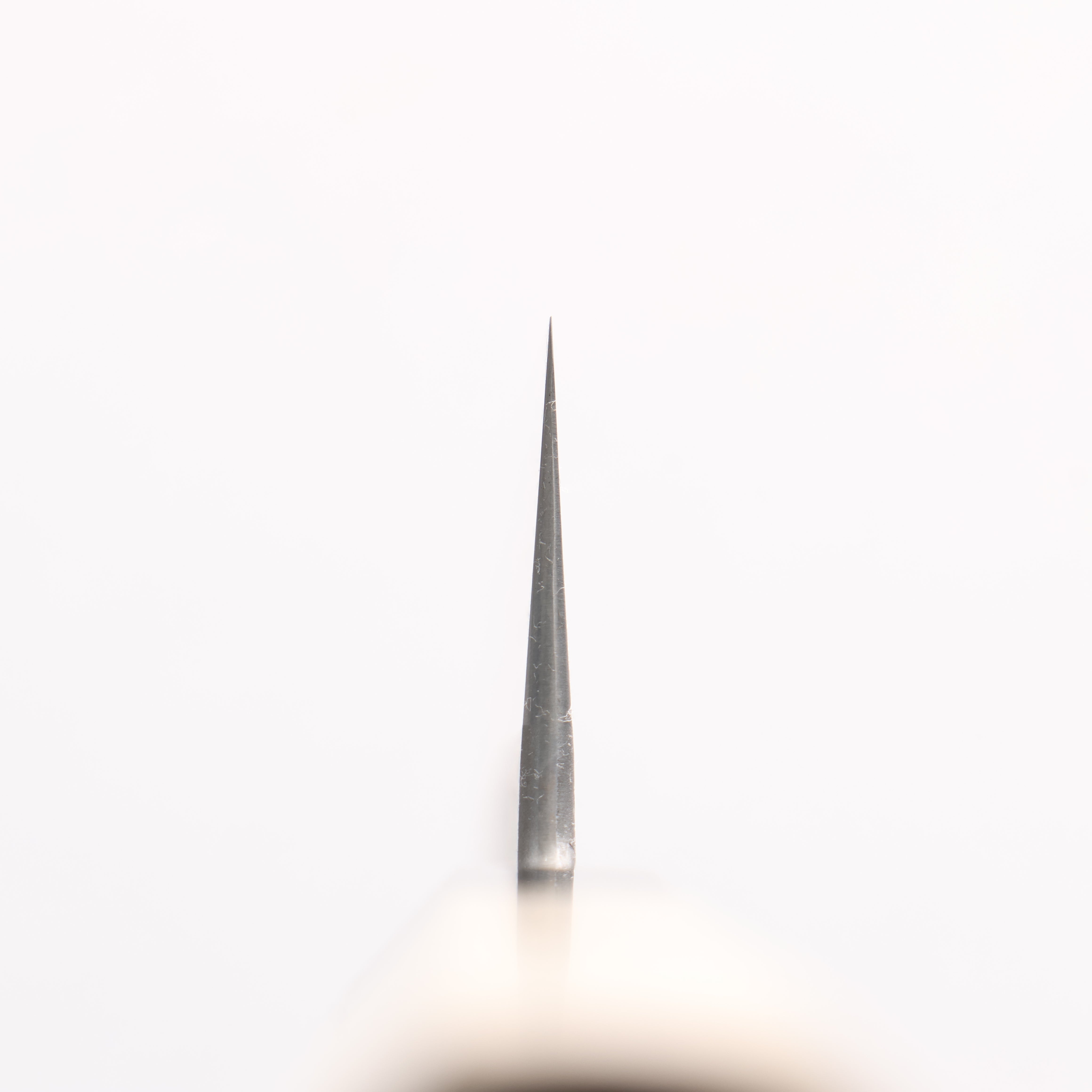 Kikuzuki White Steel No.2 Nashiji Kiritsuke Gyuto 240mm Magnolia Handle - Japanny - Best Japanese Knife