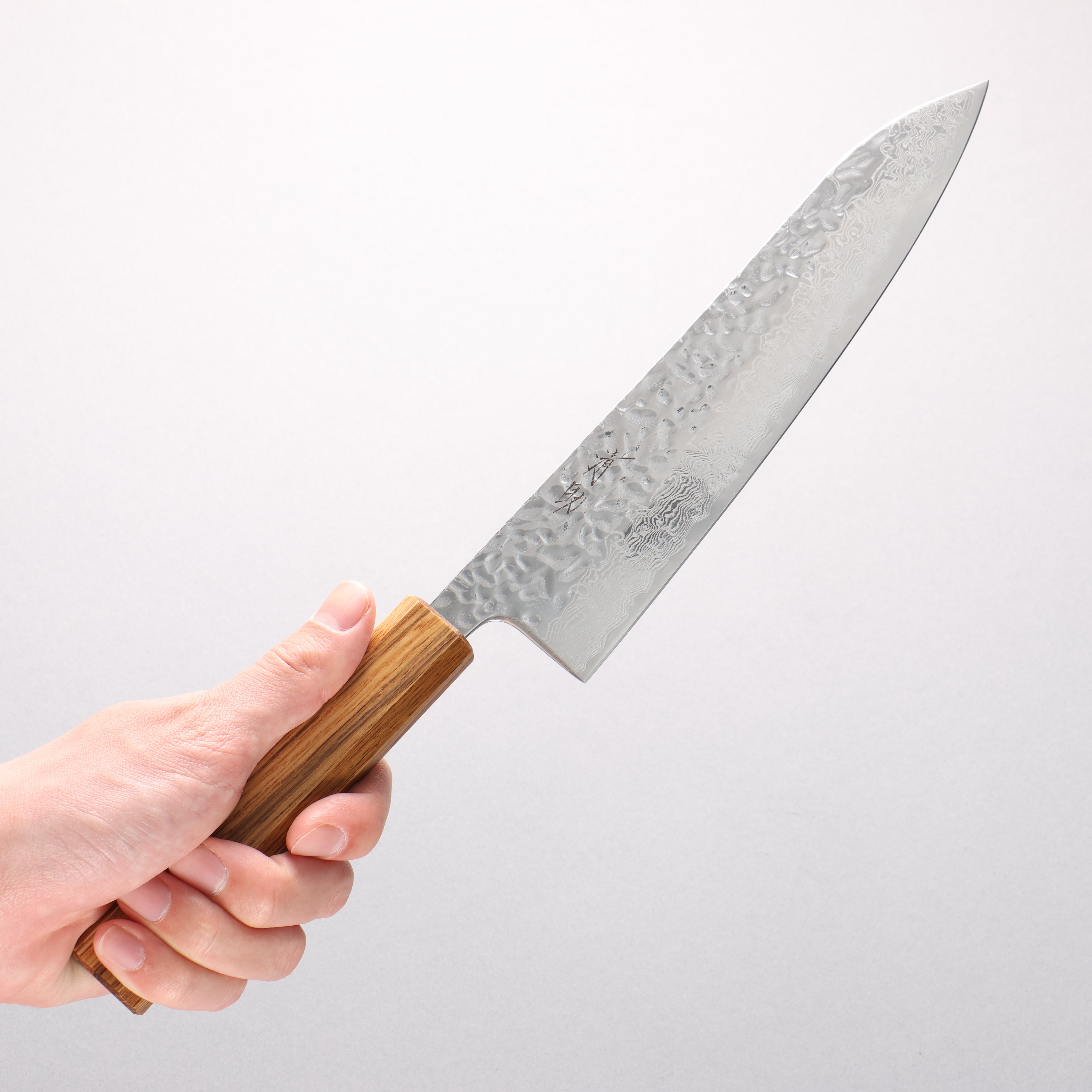 Seisuke Tsukikage AUS10 Migaki Finished Hammered Damascus Gyuto 210mm Oak Handle - Japanny - Best Japanese Knife