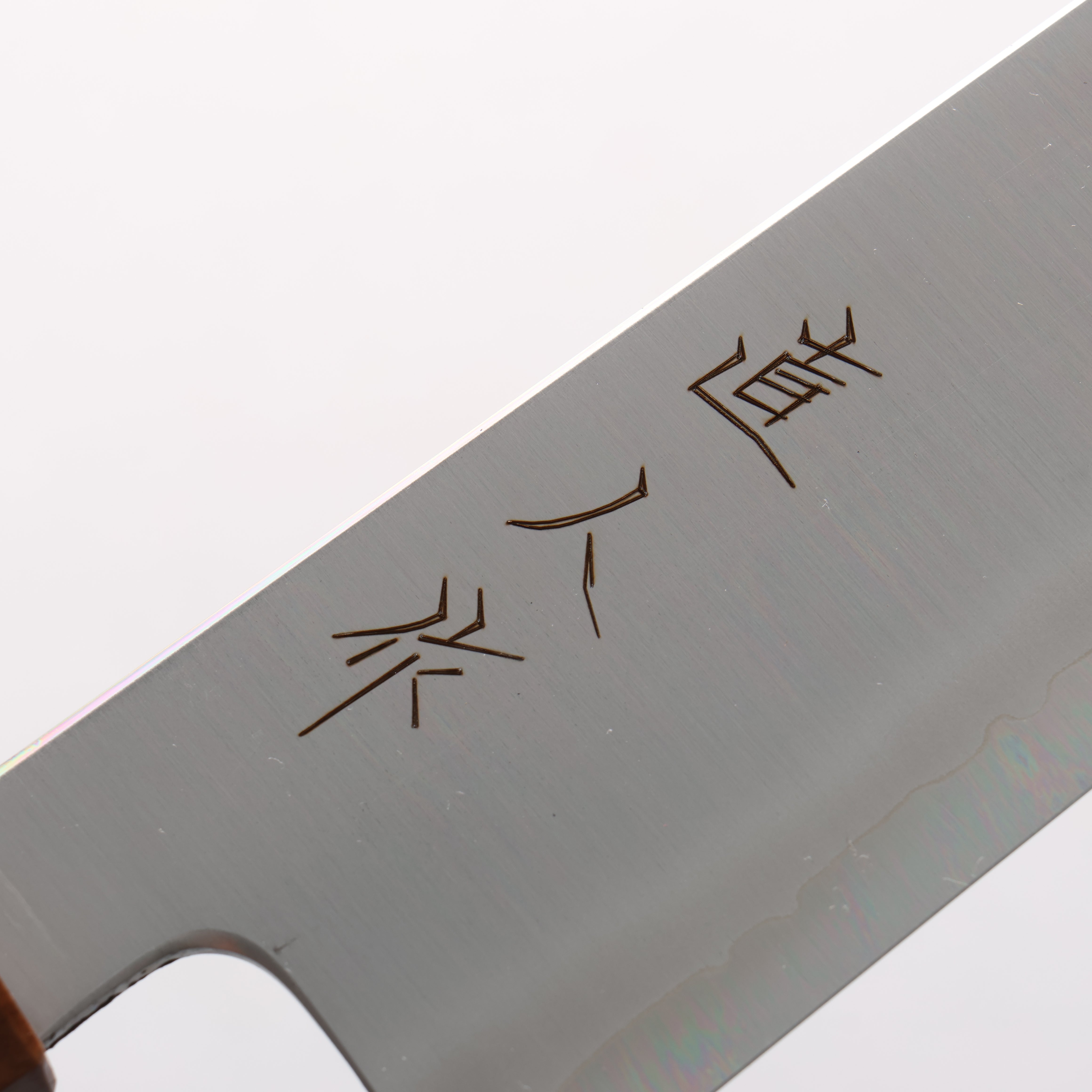 Naohito Myojin Cobalt Special Steel Gyuto 240mm Cherry Wood (Pink Ring) Handle - Japanny - Best Japanese Knife