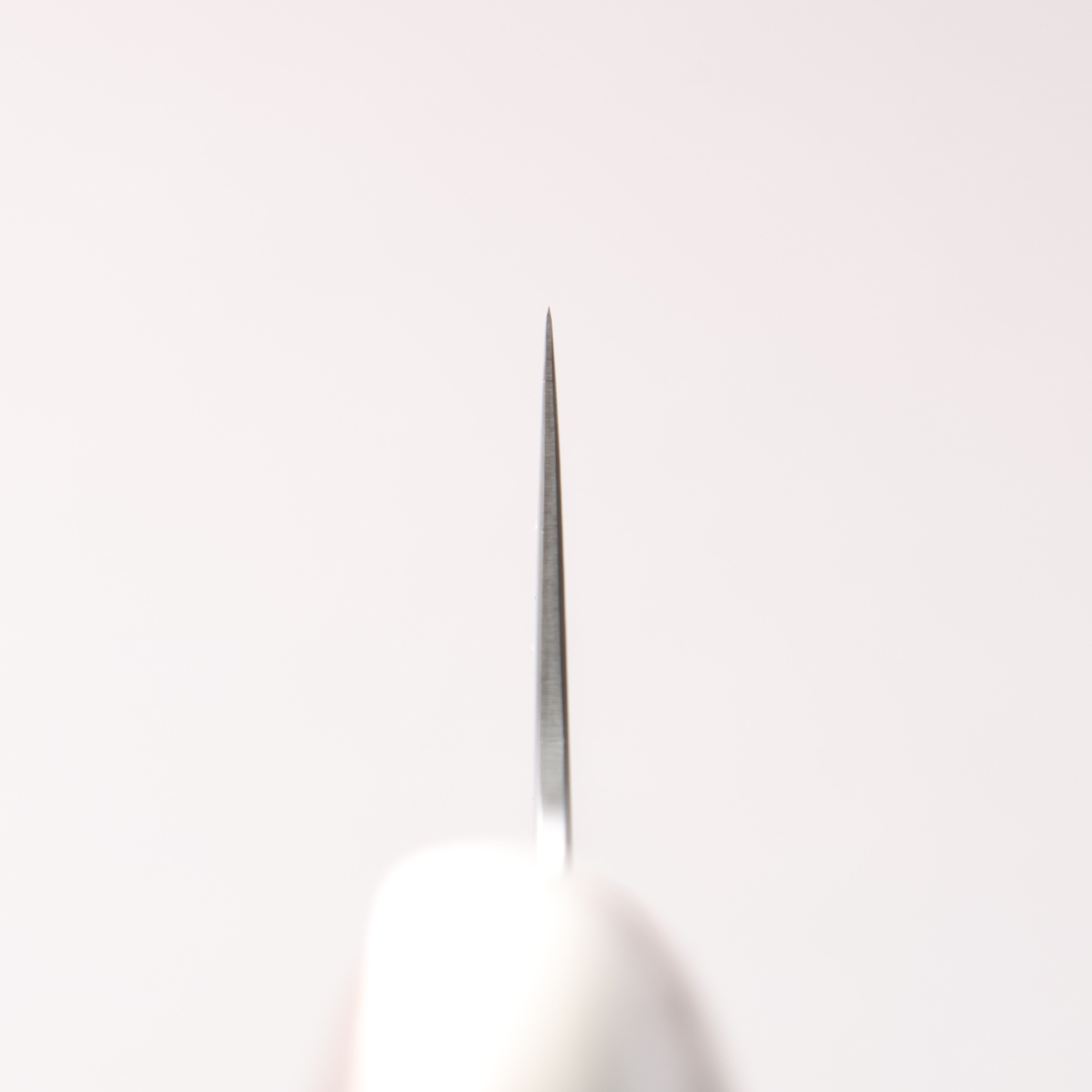 Kajin VG10 Damascus Gyuto 210mm Rosewood Handle - Japanny - Best Japanese Knife