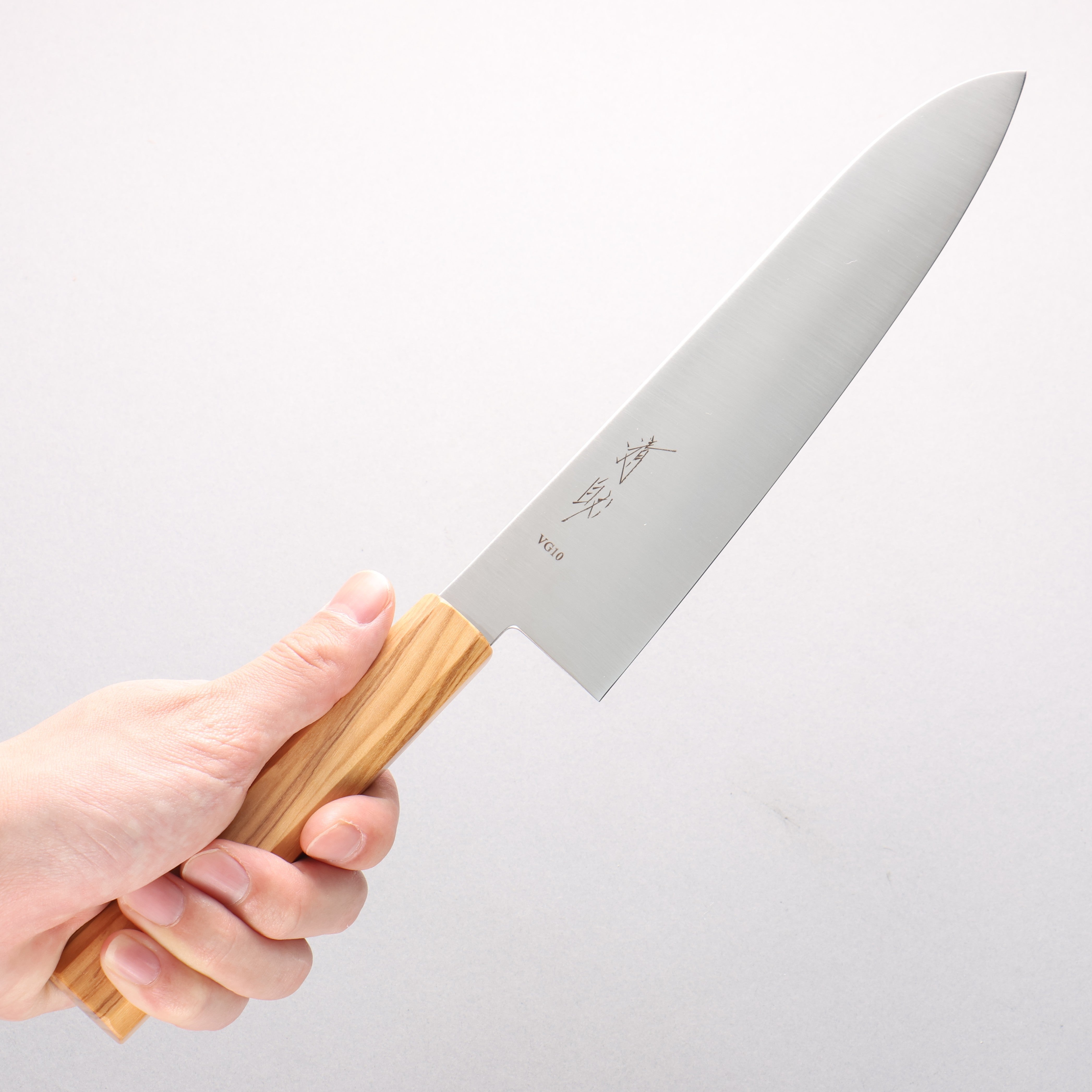 Seisuke Coreless VG10 Gyuto 210mm Olive tree Handle - Japanny - Best Japanese Knife