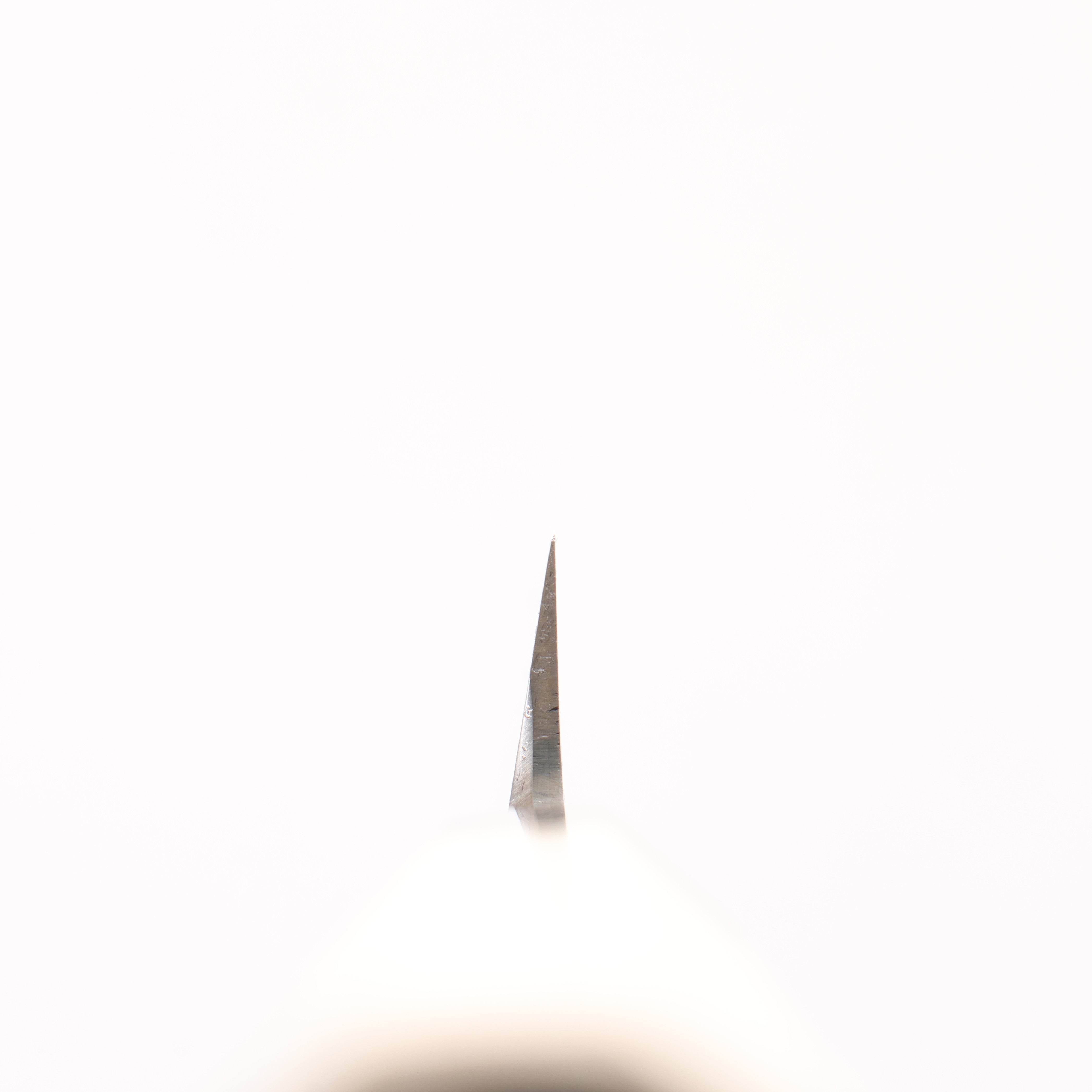 Sakai Takayuki Chef Series Silver Steel No.3 Fuguhiki 270mm Magnolia Handle - Japanny - Best Japanese Knife