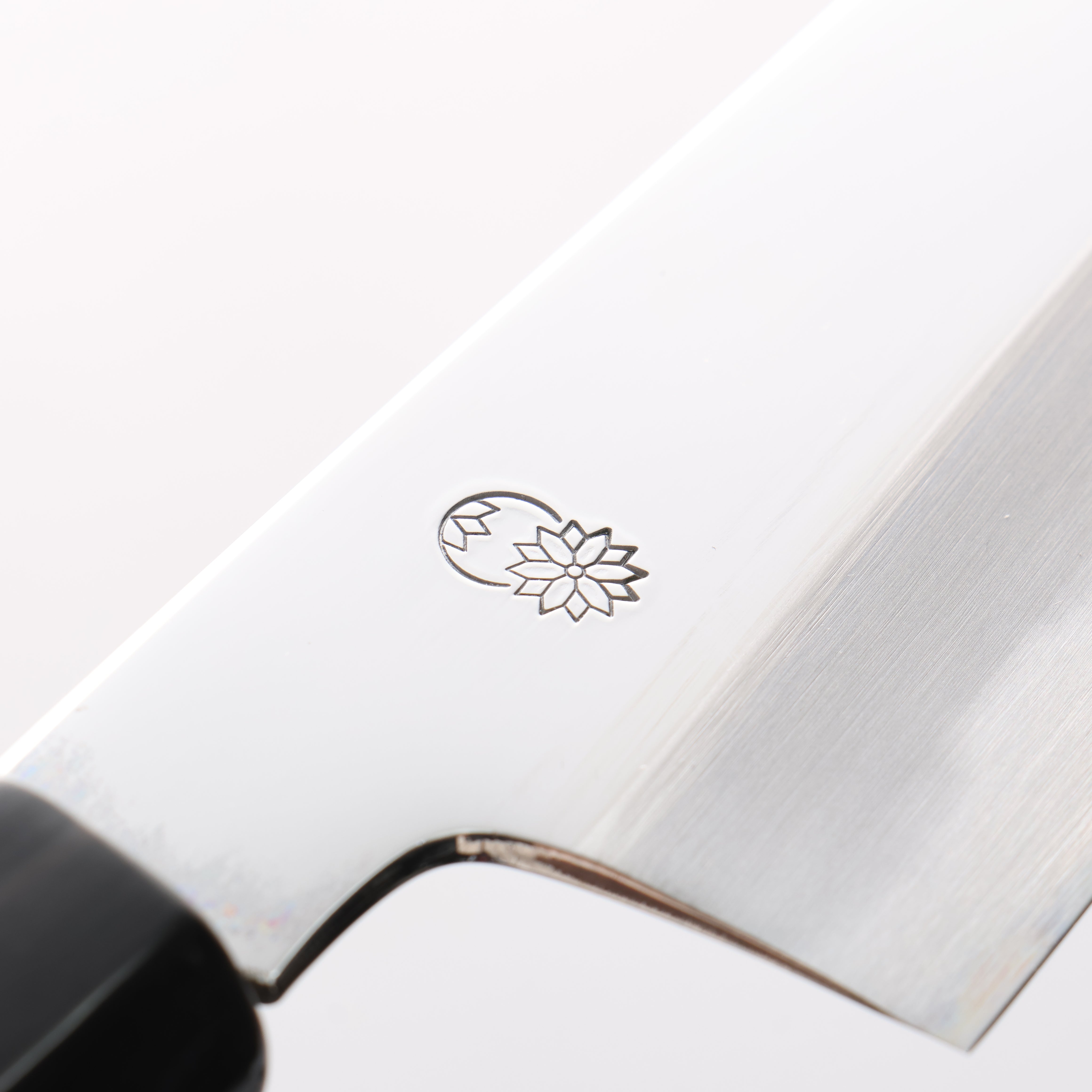 Choyo White Steel Mirrored Finish Gyuto 210mm Magnolia Handle - Japanny - Best Japanese Knife