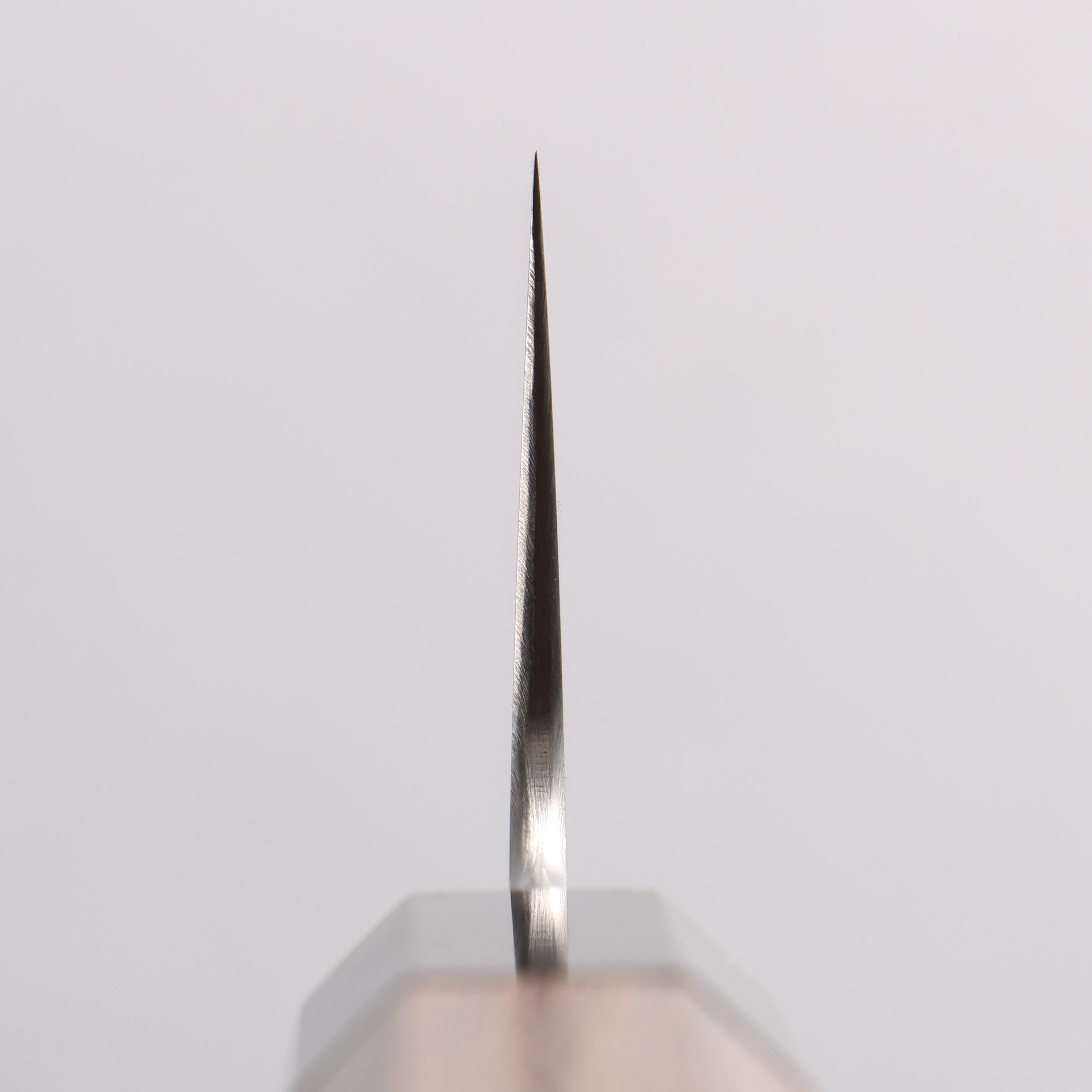 Sukenari SG2 Gyuto 210mm Wenge (ferrule: Black Buffalo Horn) Handle