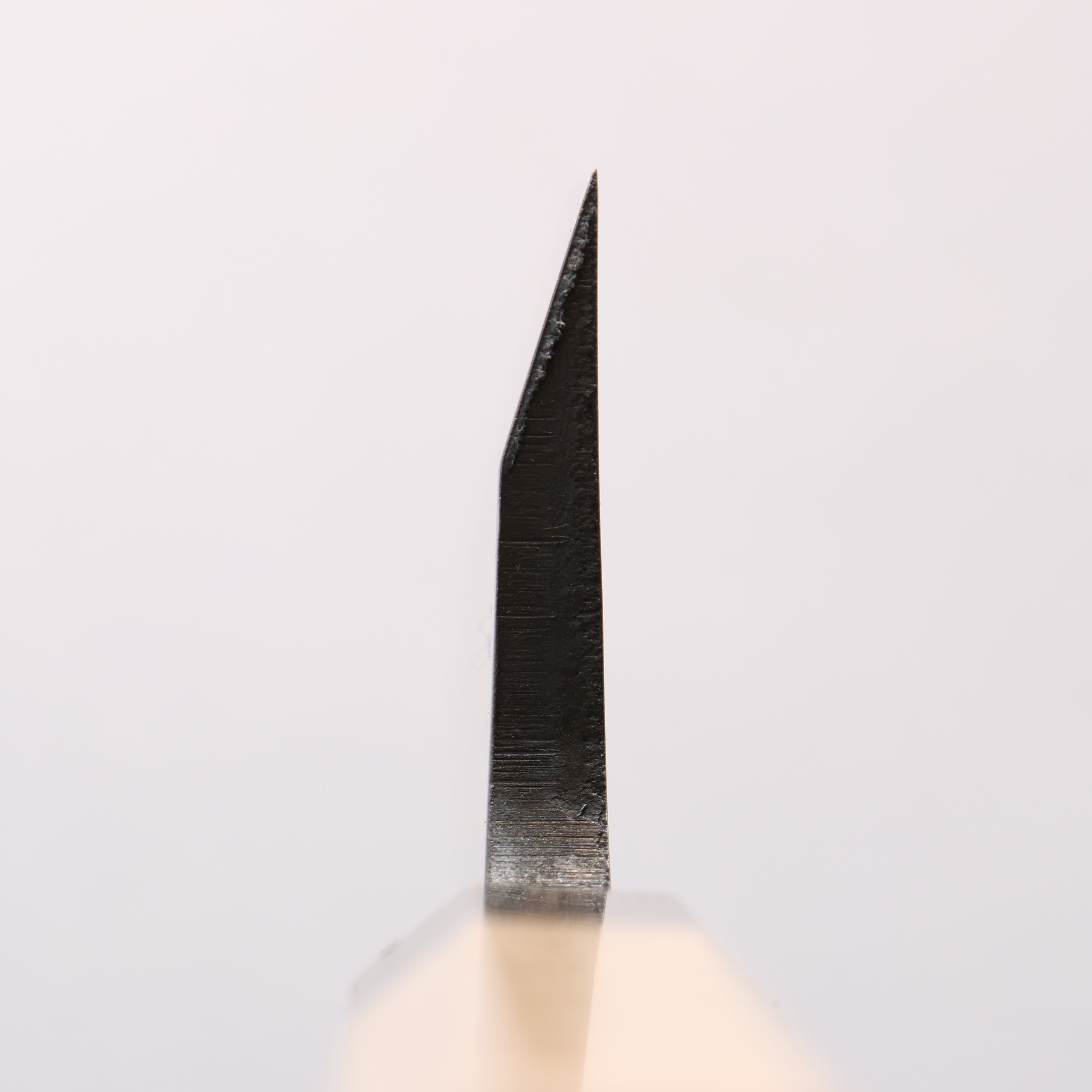 Seisuke AUS8 Deba 165mm Magnolia (Ferrule: Striped Ebony) Handle Sushi School Model - Japanny - Best Japanese Knife