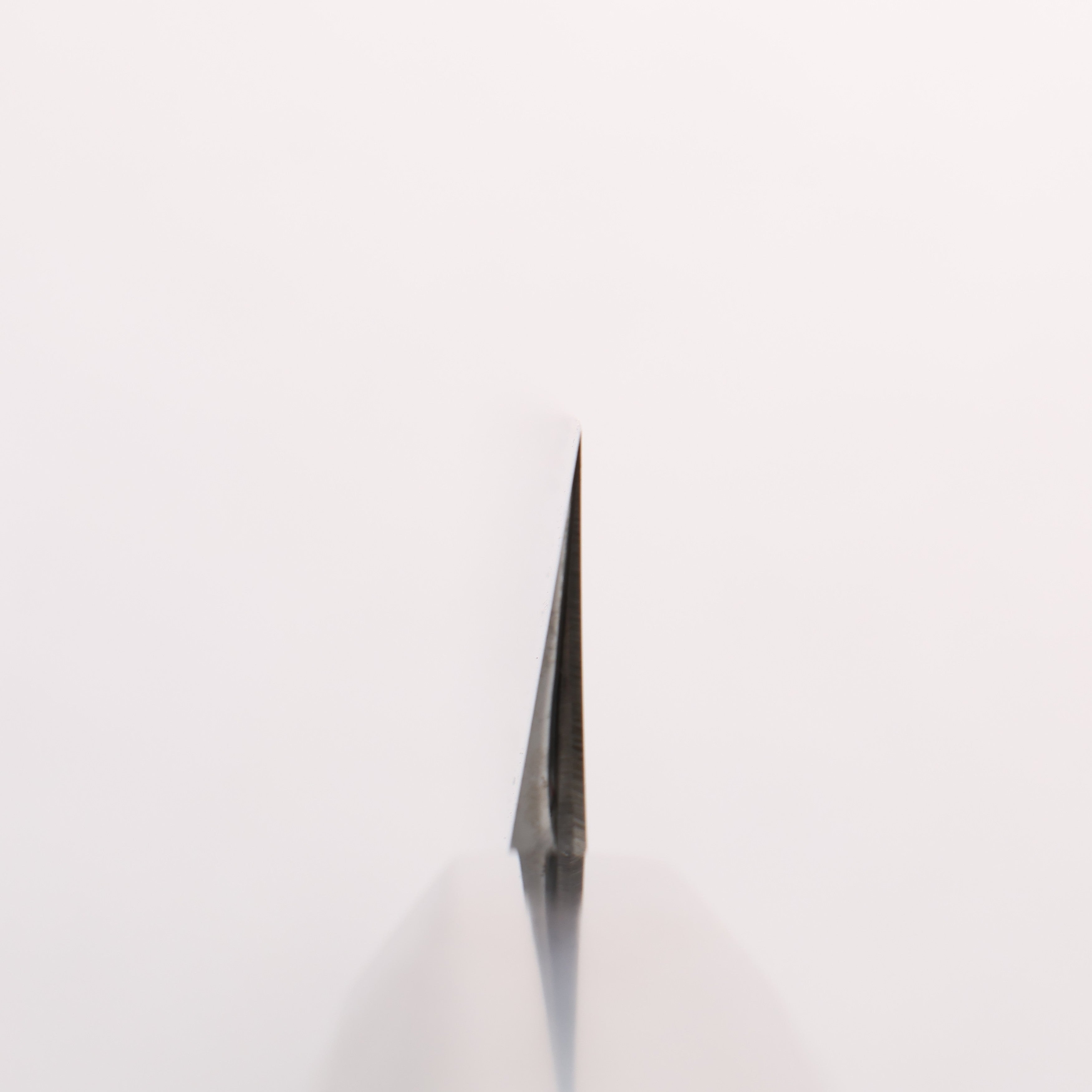 Choyo Blue Steel No.1 Mirrored Finish Kiritsuke Yanagiba 300mm Ebony Wood (ferrule: Black Water Buffalo Horn) Handle