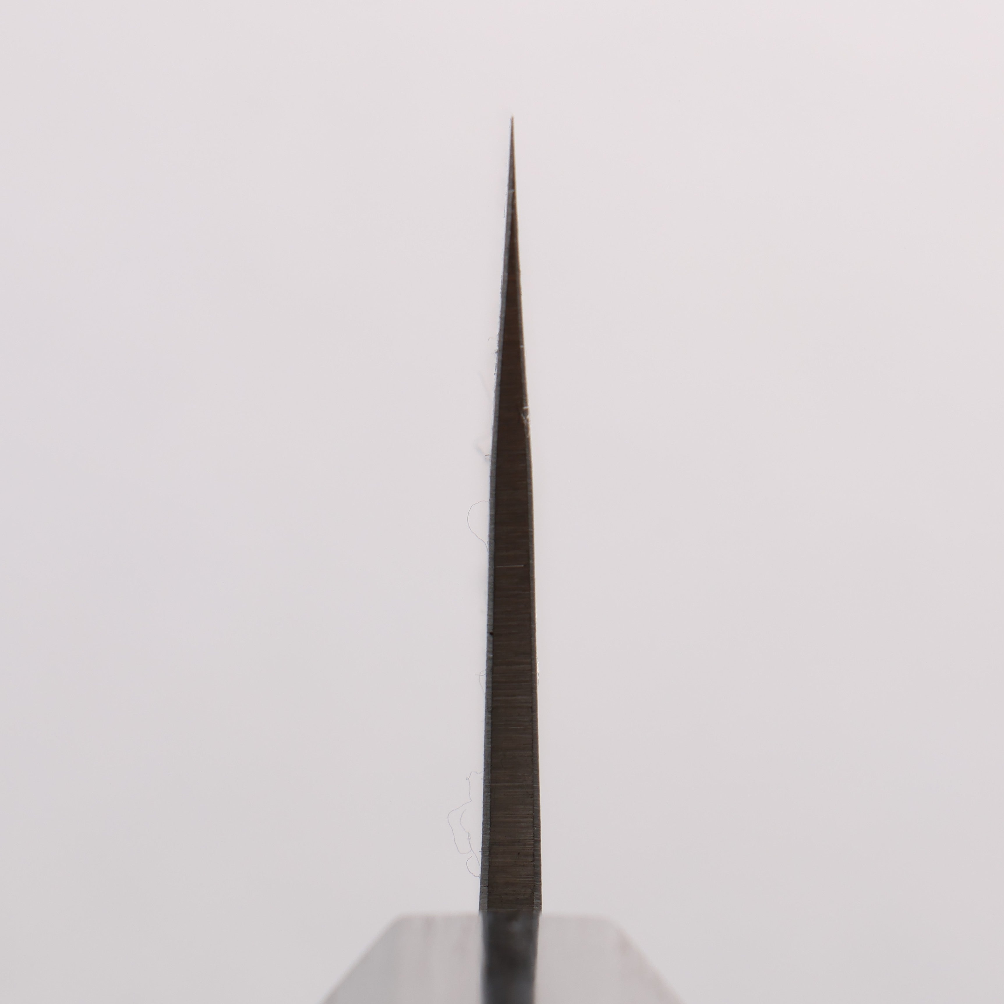 Oul SLD Nashiji Bunka 170mm Japanese Elm (Ferrule: Black Pakka Wood) Handle